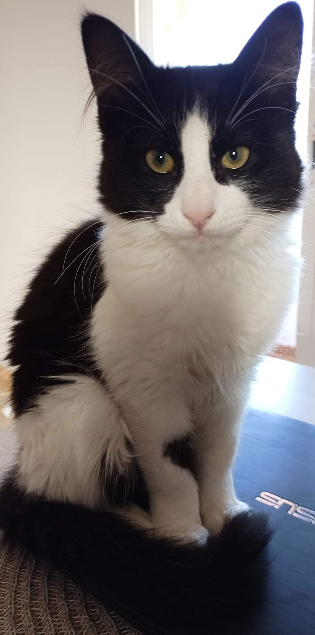 Turia - Carrer De Les Lilies, La Pobla de Montornès