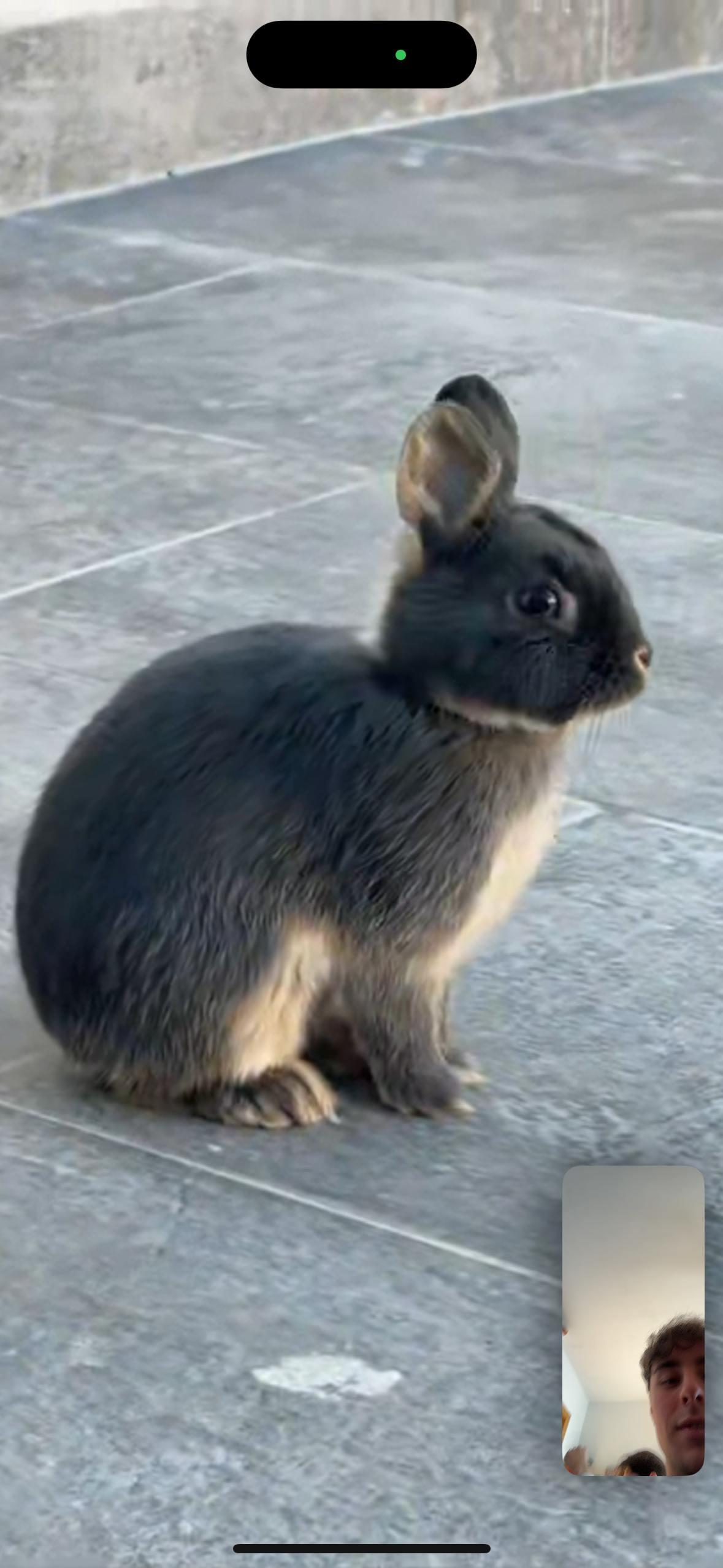 Wiski - Carrer del Vi 1, Sant Joan d'Alacant