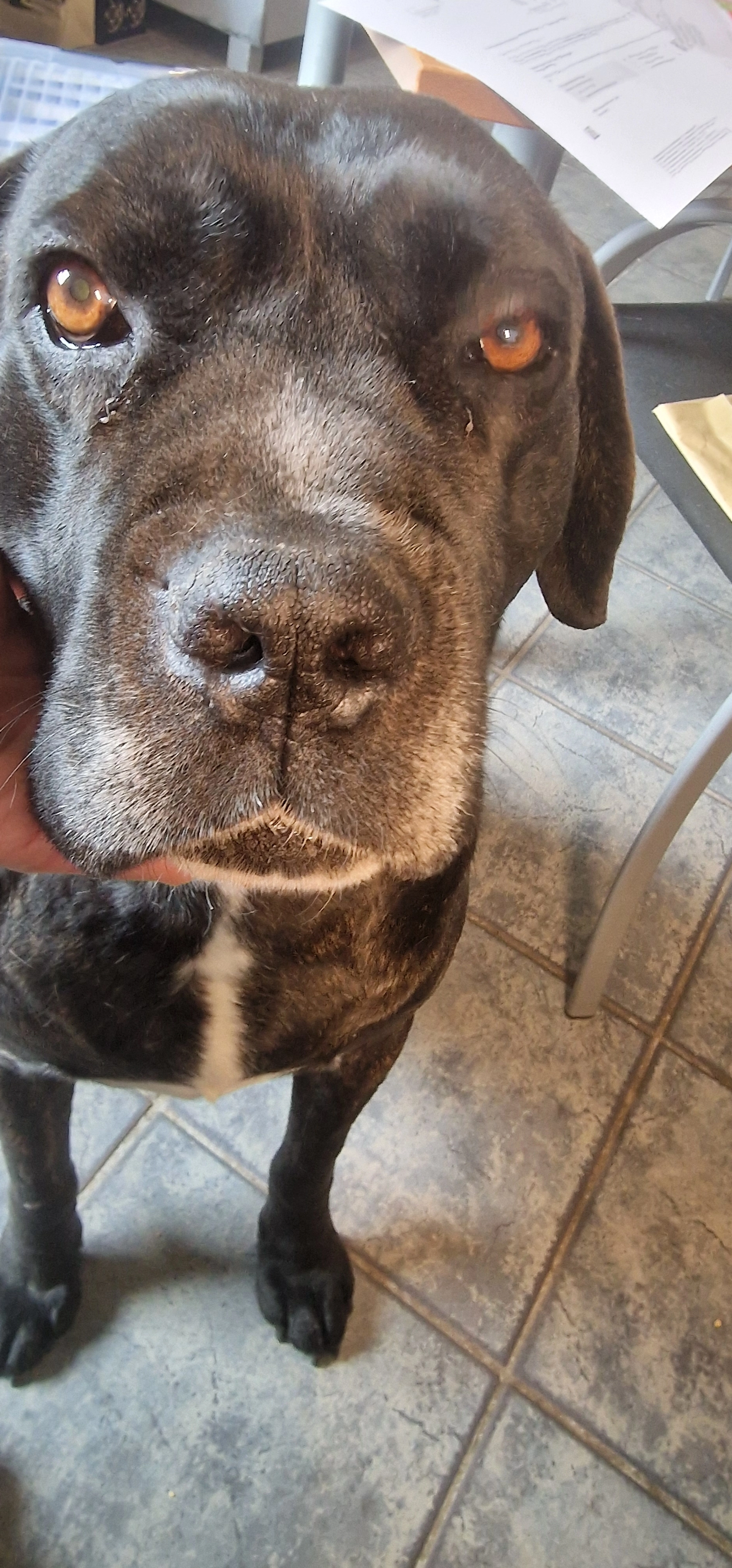 Benno - Am Fischberg 203D, Thale