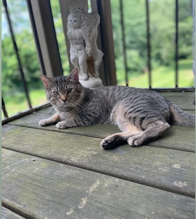 Uni - Hillcrest Dr, Frederick