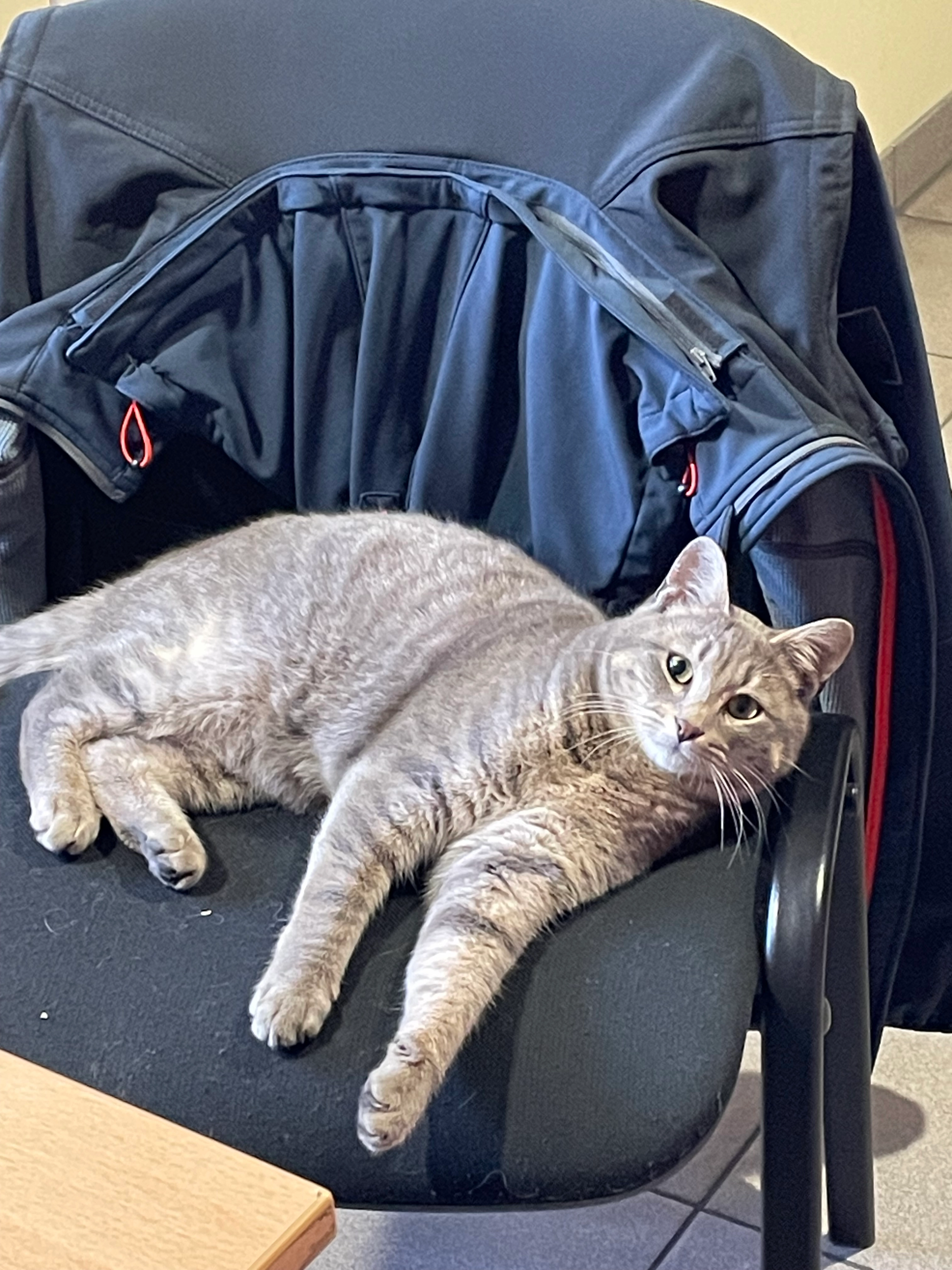 Pascaline - Rue des Gallois, Évrecy