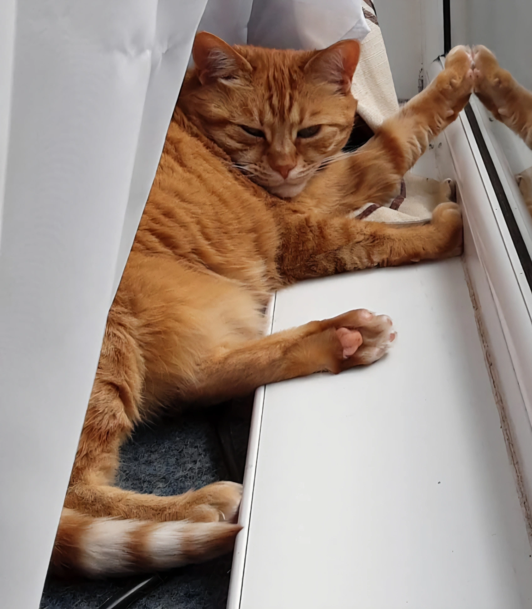 Malwinka - EH8 7, Edinburgh