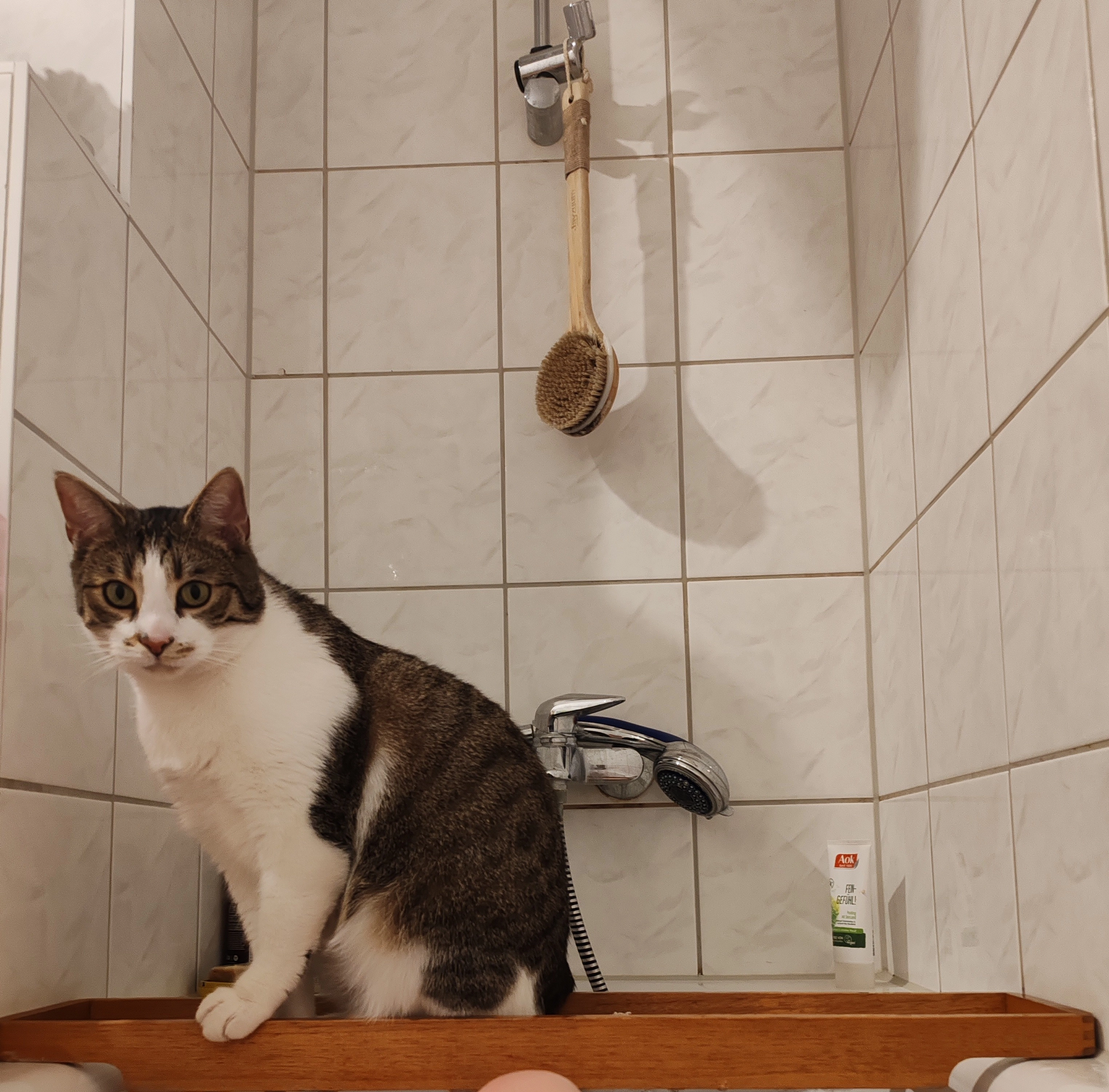 Caruso - Breiter Weg, Magdeburg