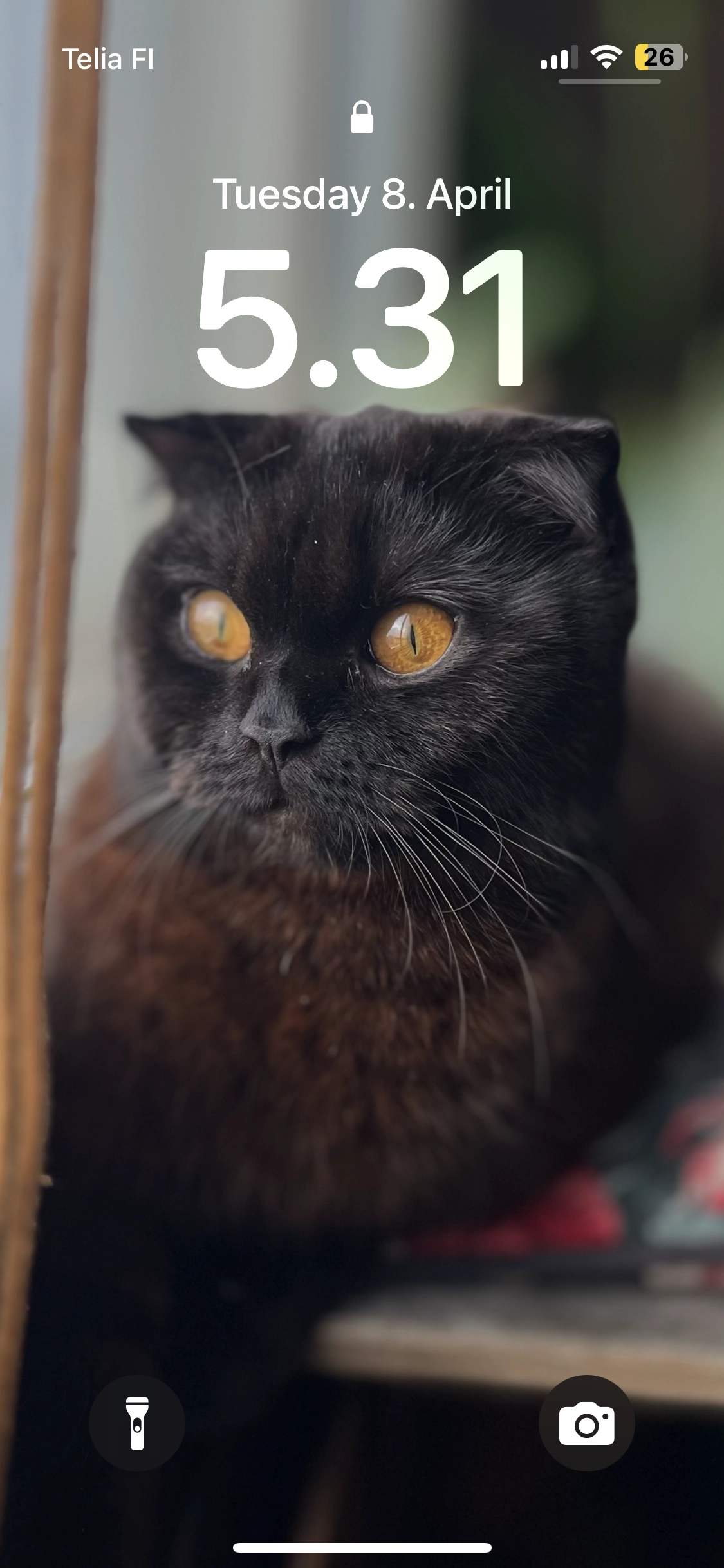 Lili - Pormestarinkatu 8, Turku