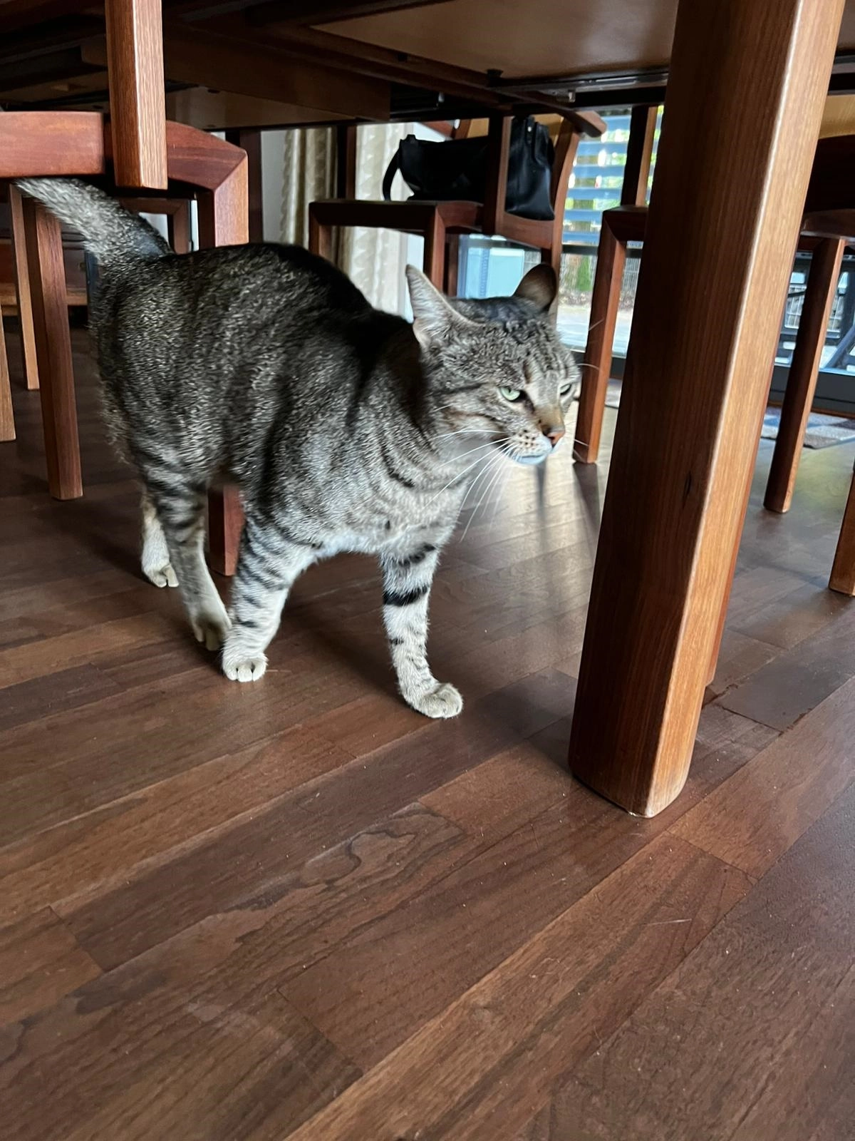 Kim - Friedhofstraße, Lebach