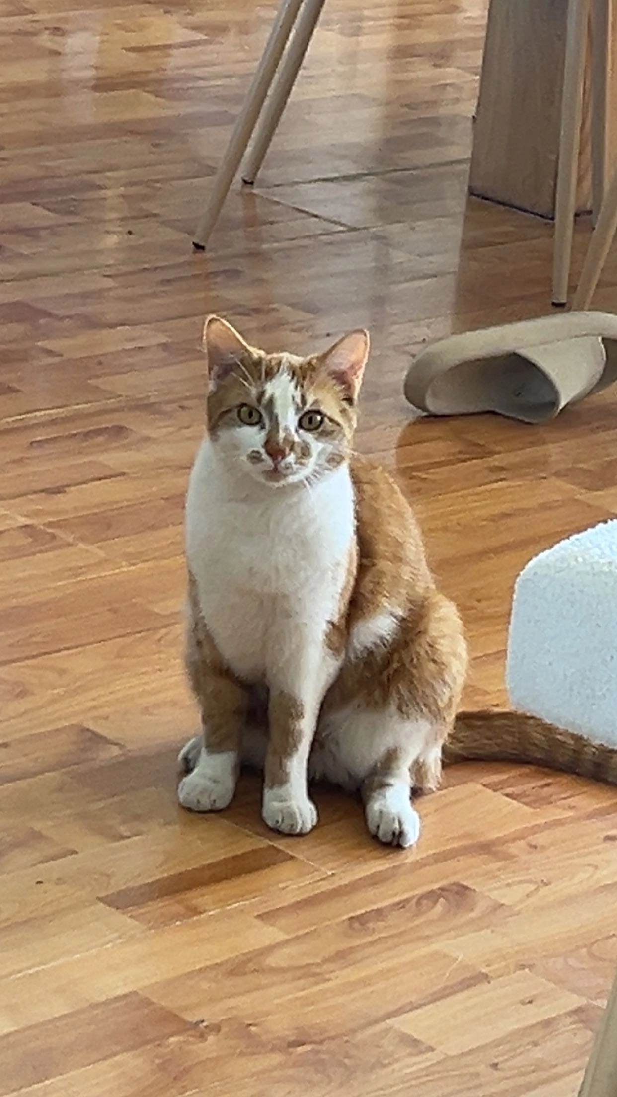 Bolle - Ubbenslaan, Delfzijl