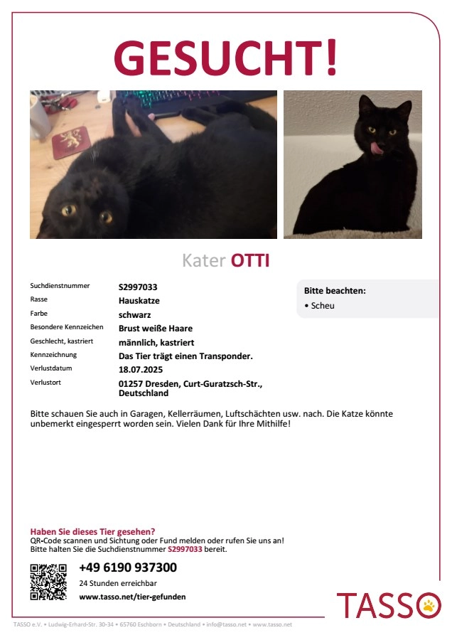 Otti - Curt-Guratzsch-Straße, Dresden