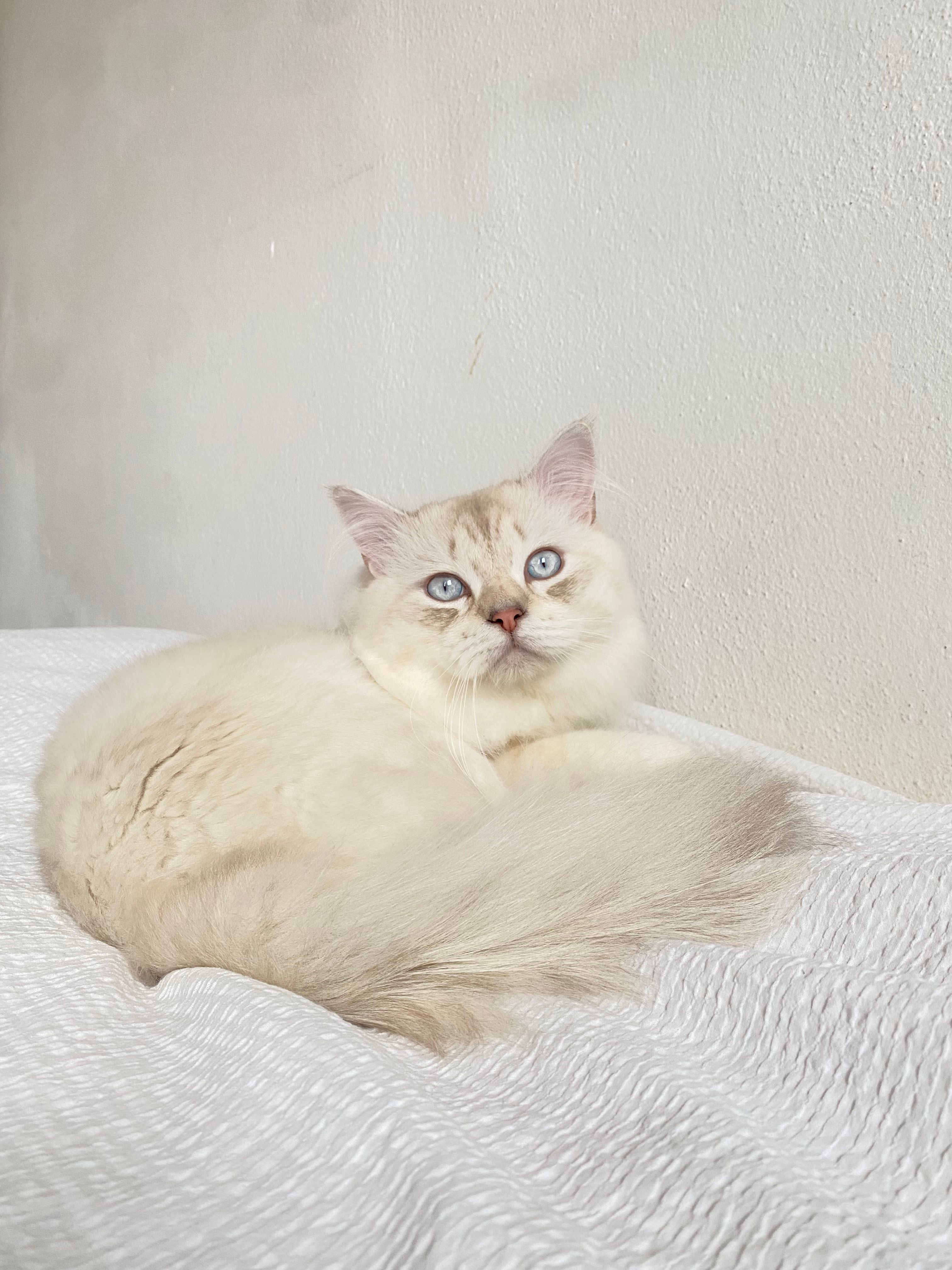 Harun - Alsenberger Straße, Hof