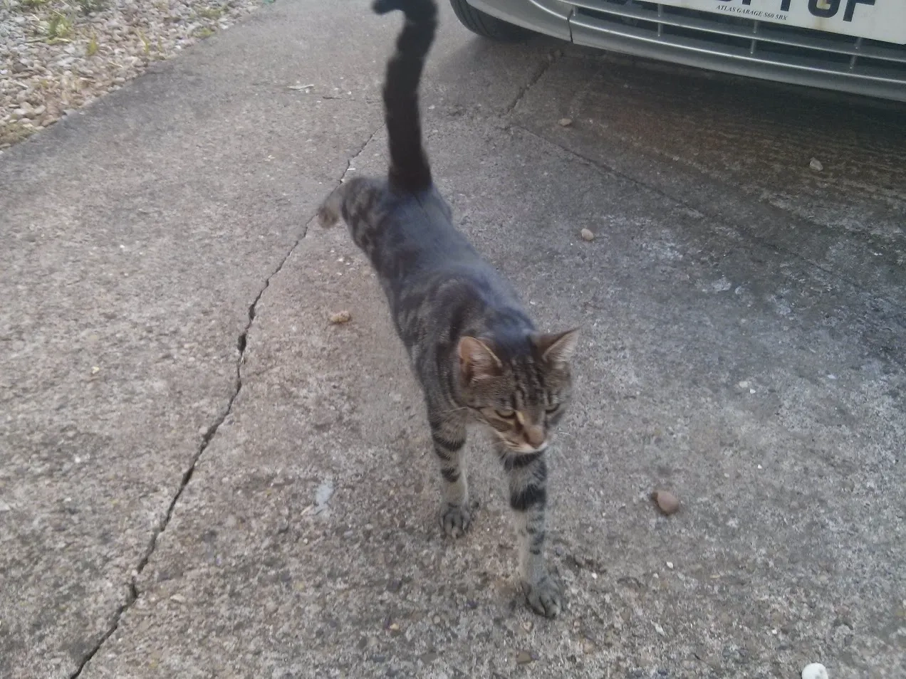 Scotch - PE9 4, Stamford