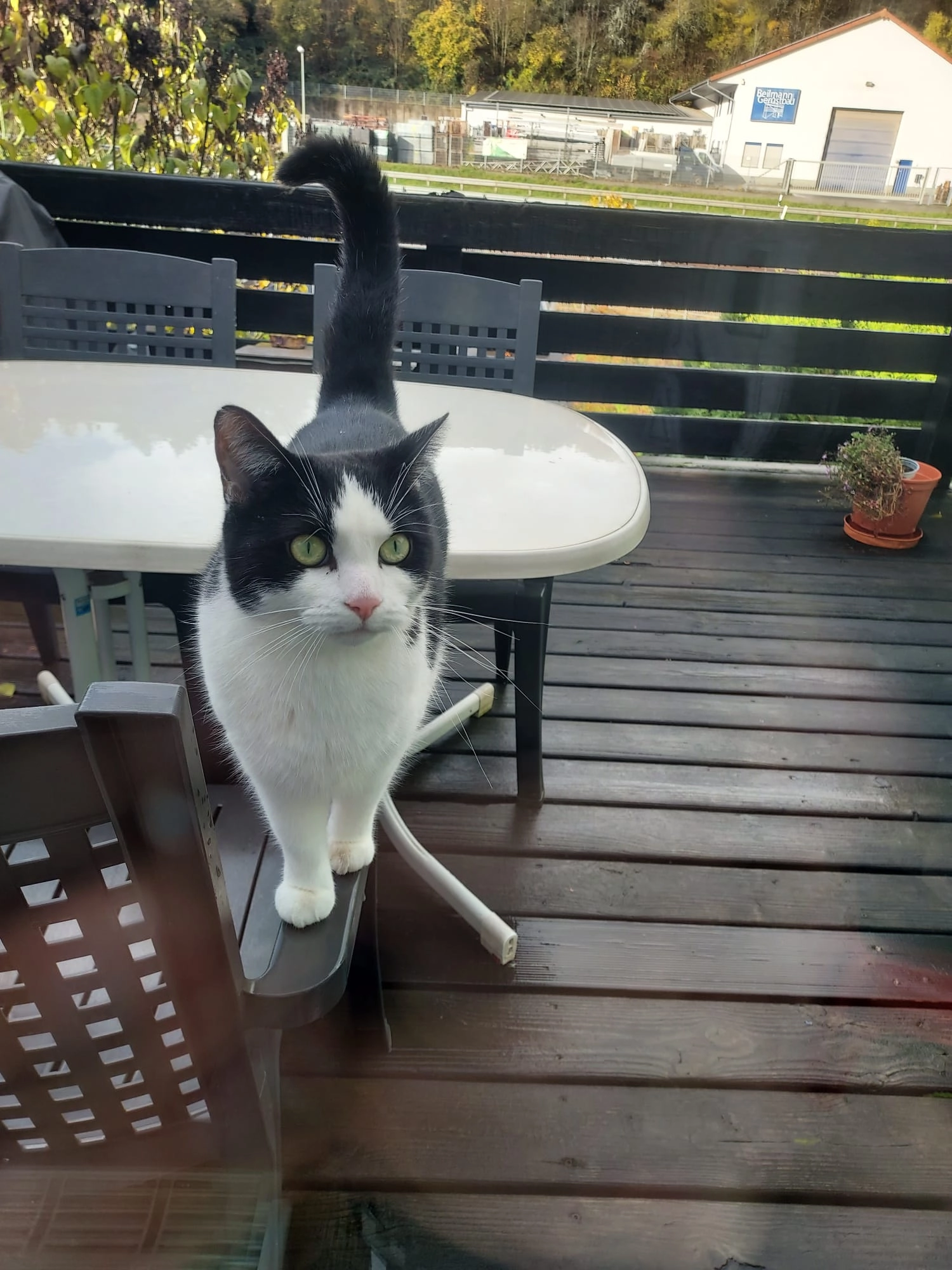 Mischka - Bezirksamtsstraße, Rockenhausen