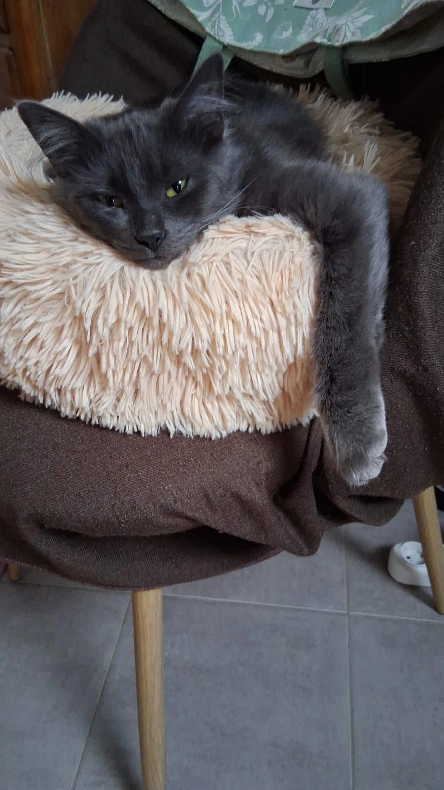 Moone - 94 Rue de Calais, Beauvais