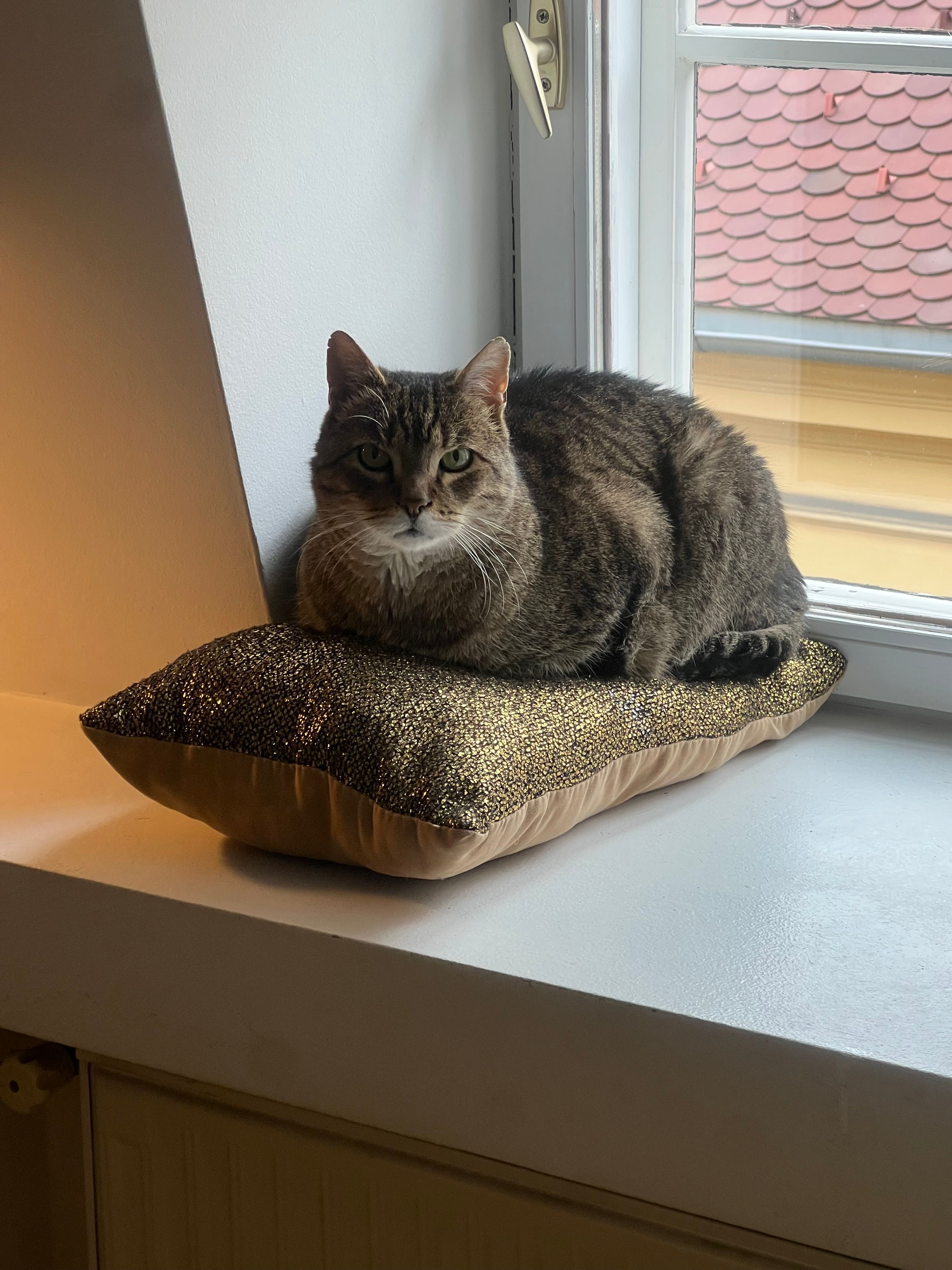 Rem - Mesnička ulica 34, Zagreb