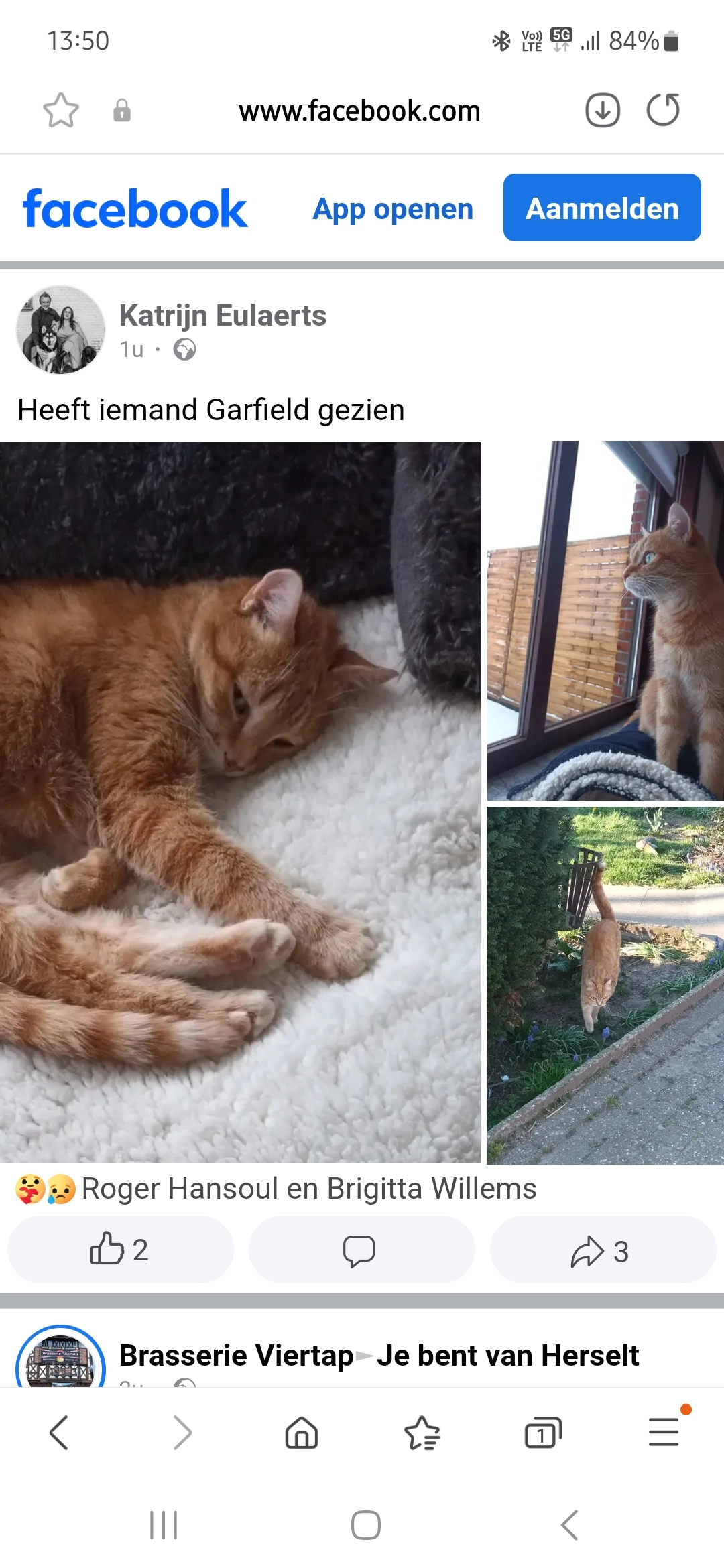 Garfield  - Wolfsdonksesteenweg, Herselt