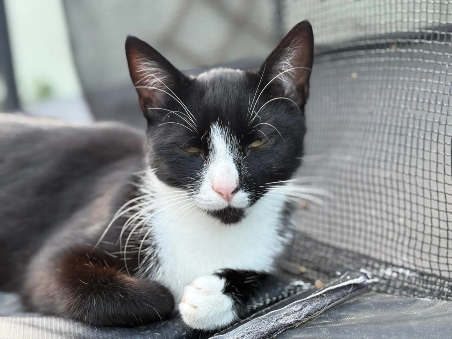 Moon - Dúnquin, Newcastle West