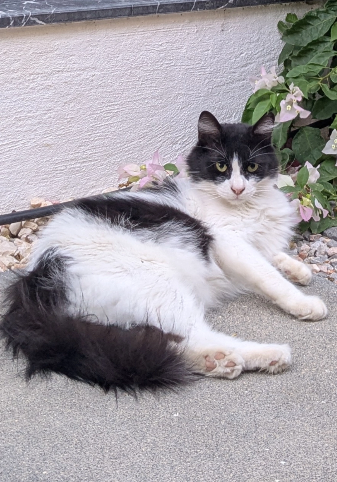 Tokio - Oberzeller Straße, Hitzhofen