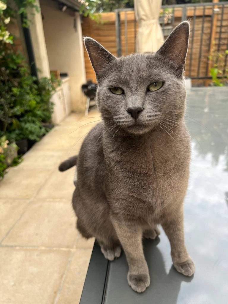 Pearl - Trinquetaille, Arles