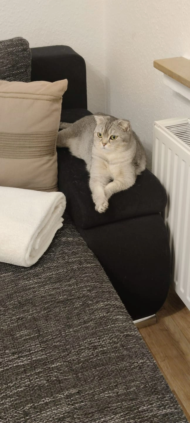 Luna - Akazienstraße, Sulingen