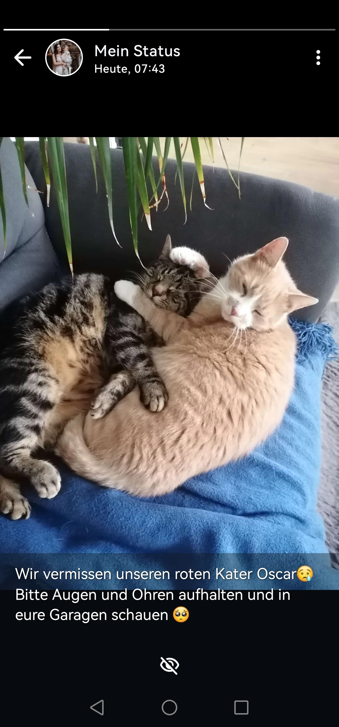 Oscar - Wermelskirchener Straße, Remscheid