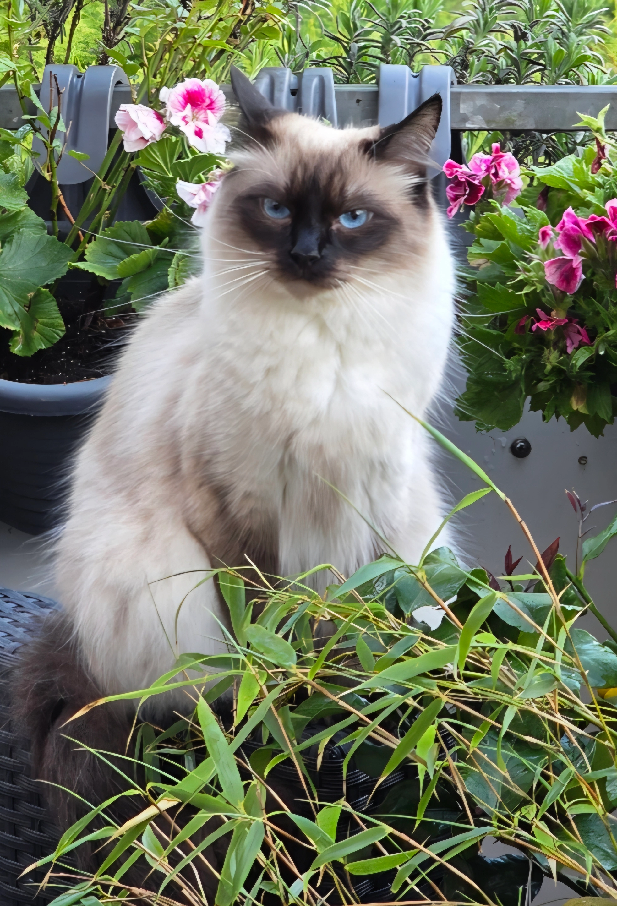 Isy - Lindenweg, Telgte