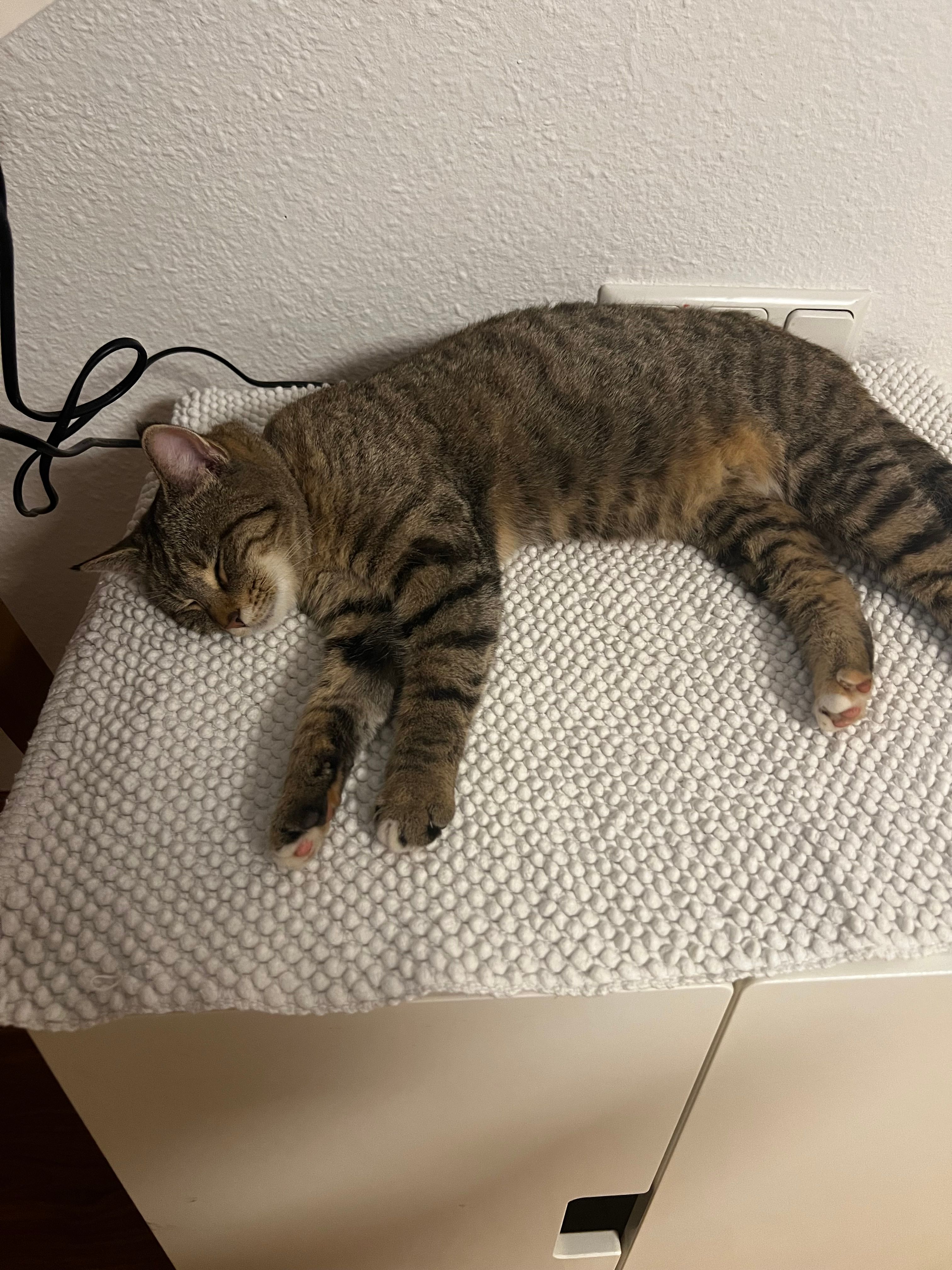 Lulu - Saudstraße 8A, Frickingen