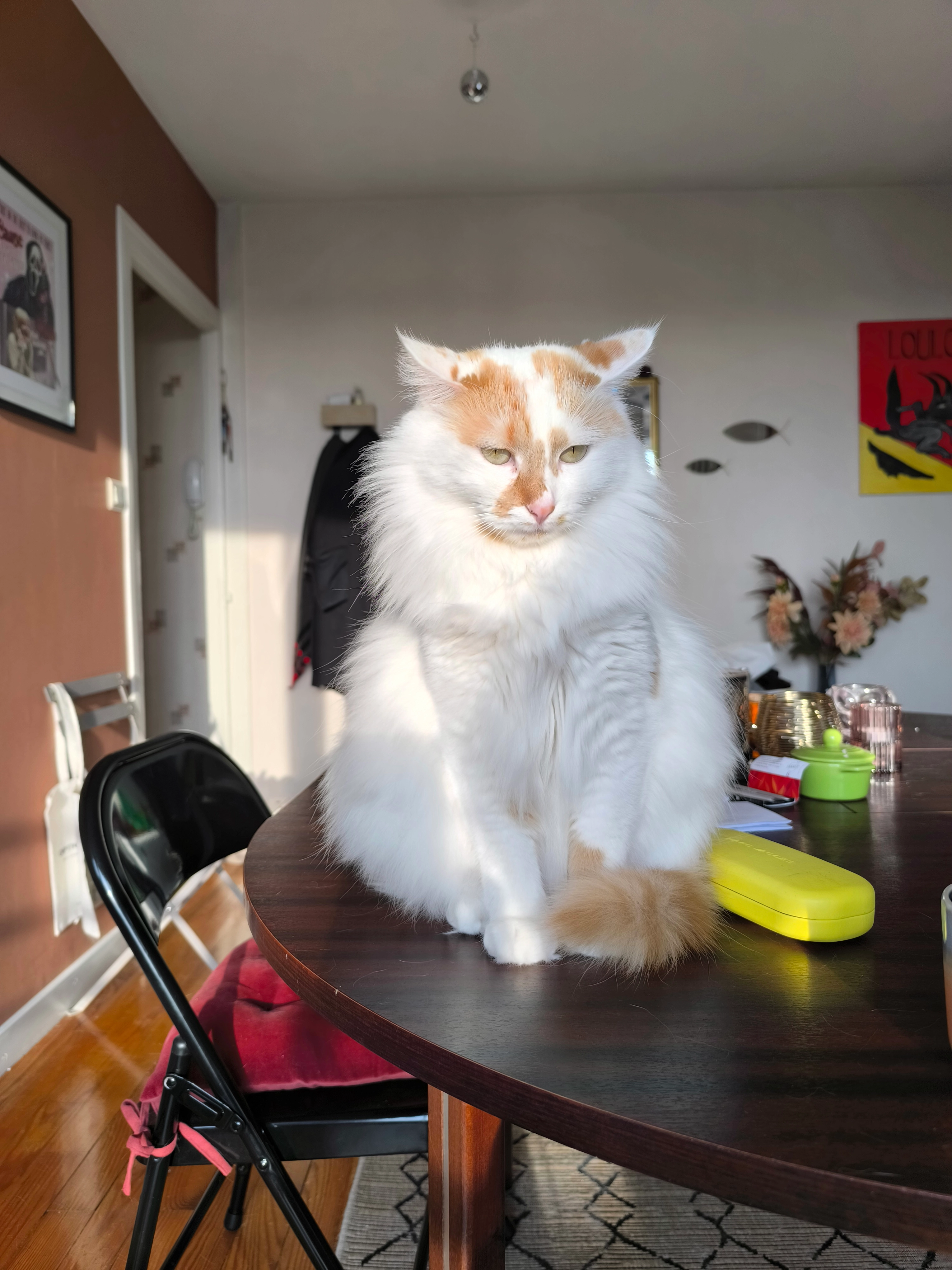 Citron - Rue Borgne, Buxy