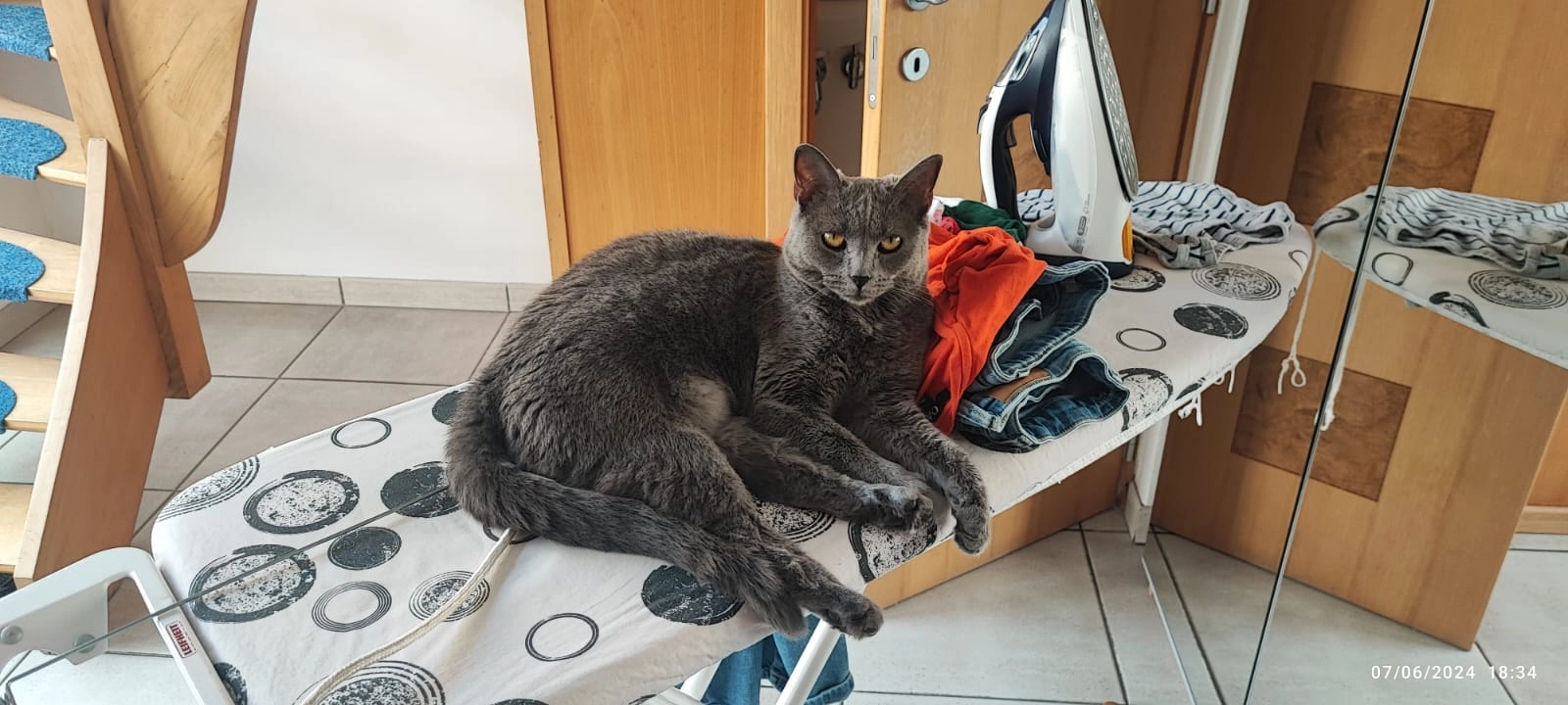 Iris - Rue Philippe Vander Elst, Bruxelles