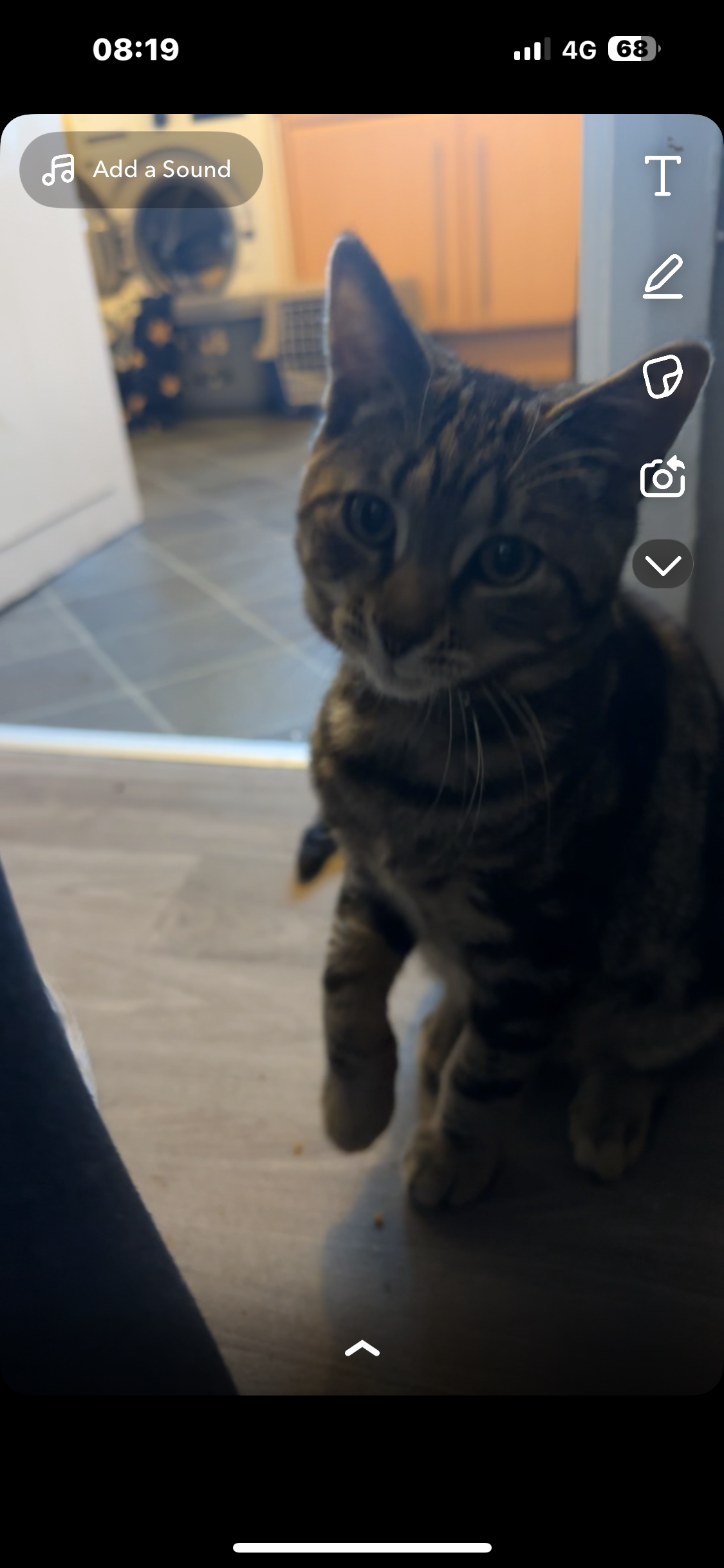 boo - Oak Avenue, Mansfield