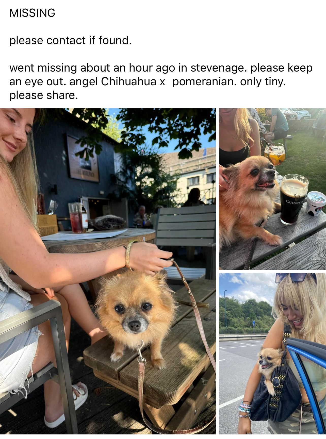 Angel - Cromwell Road, Stevenage