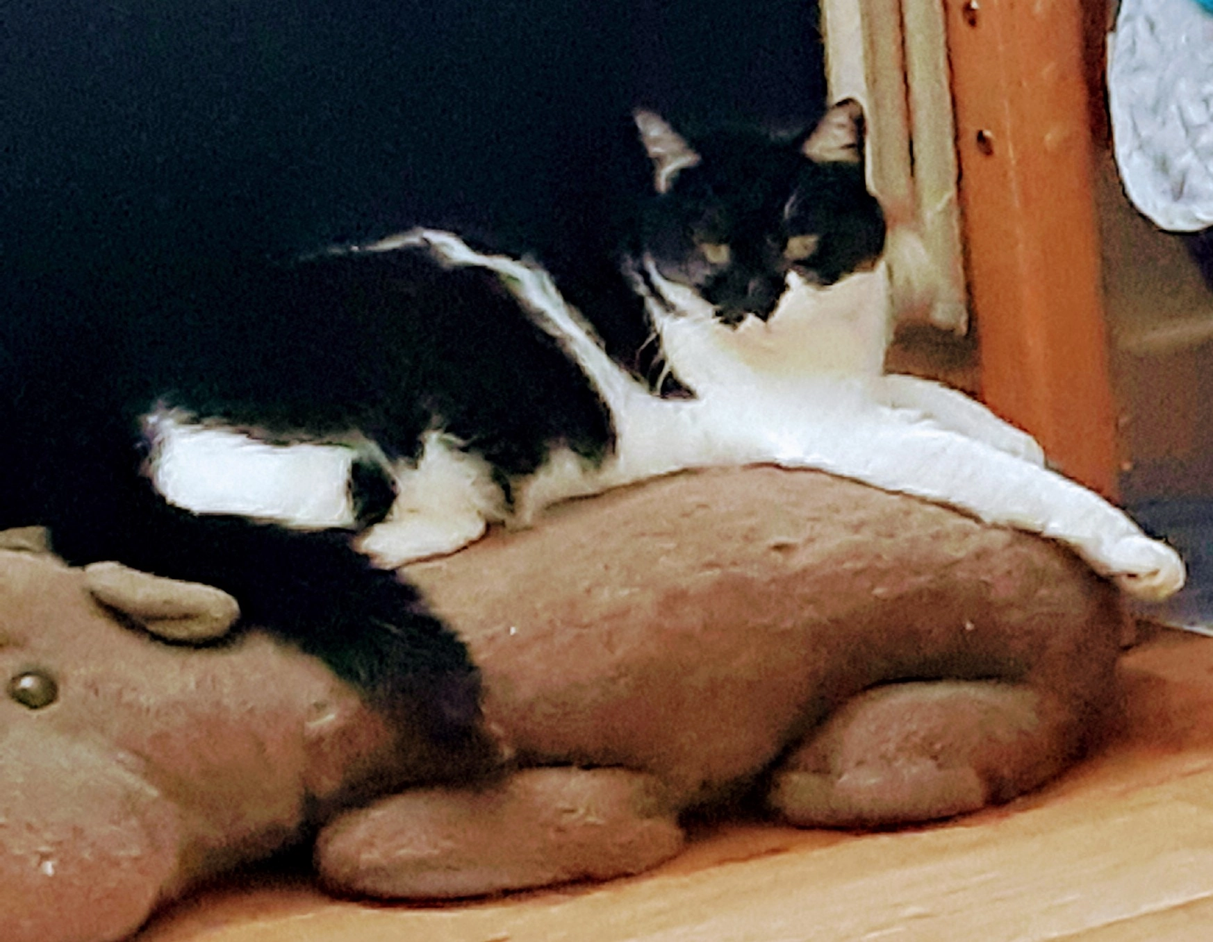 Uchi - 110 Chemin du Sénéchal, Villefranche-de-Rouergue