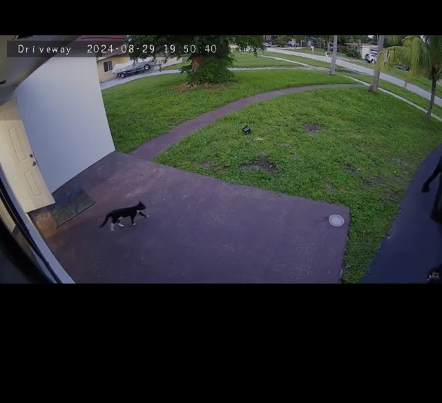 Mimi - 1137 NW 15th Ct, Fort Lauderdale