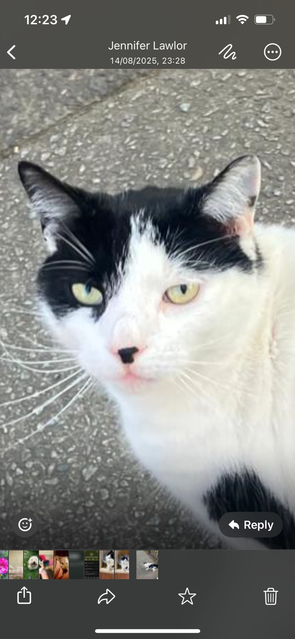 Popcorn - Church Street, Braintree