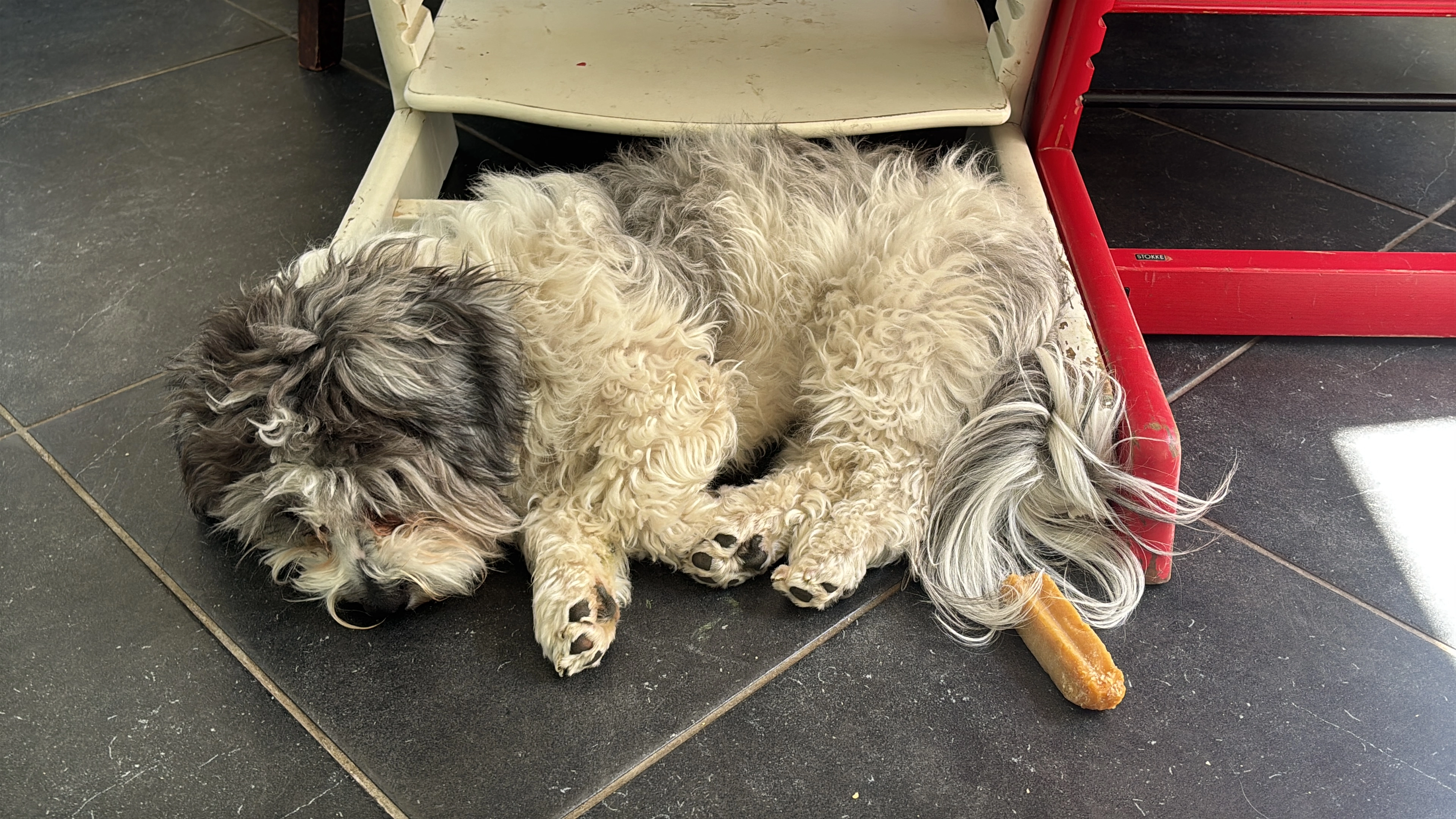 Blue - Van de Wiellei, Brasschaat