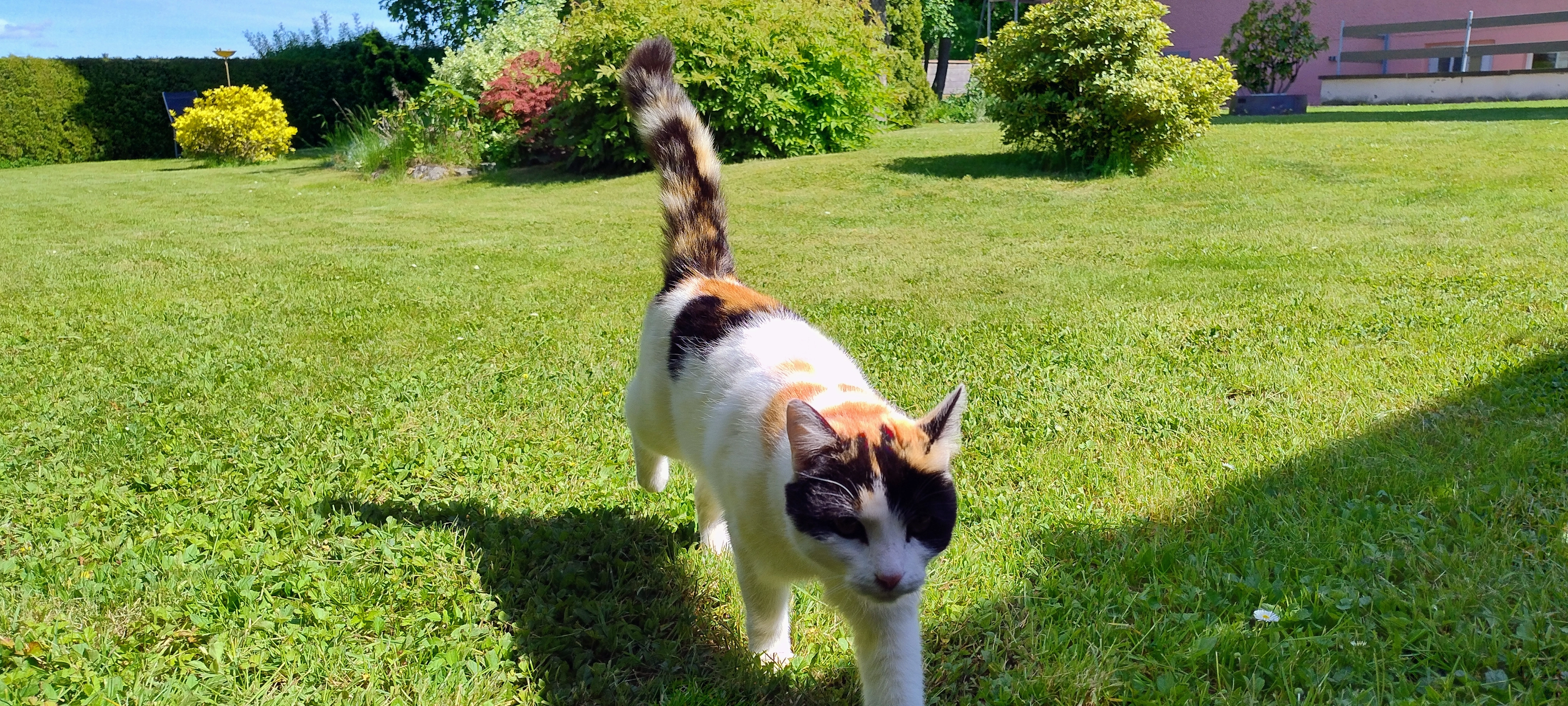 Lisa - Am Stadion, Hohenmölsen