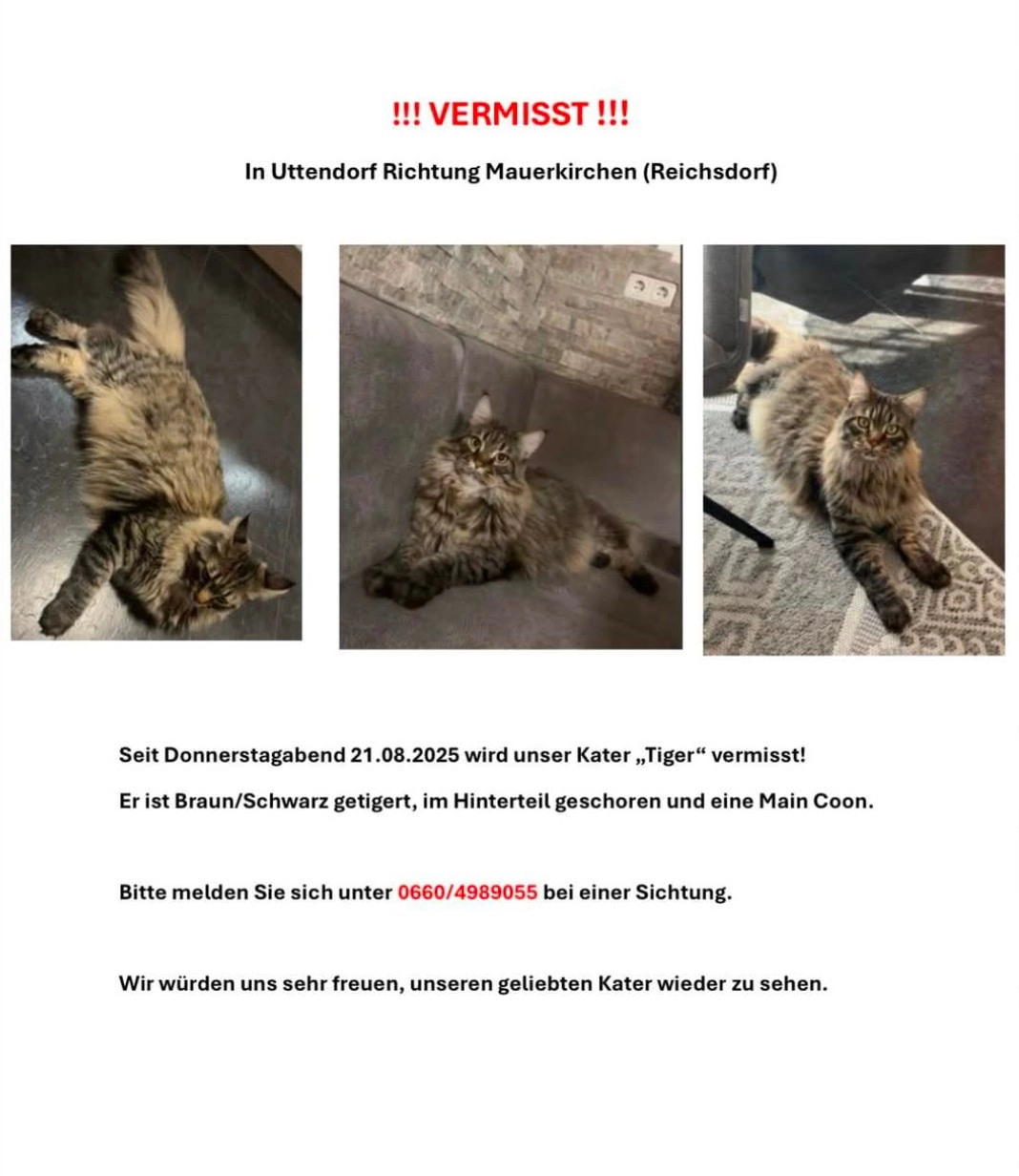 Tieger - Reichsdorf, Helpfau-Uttendorf