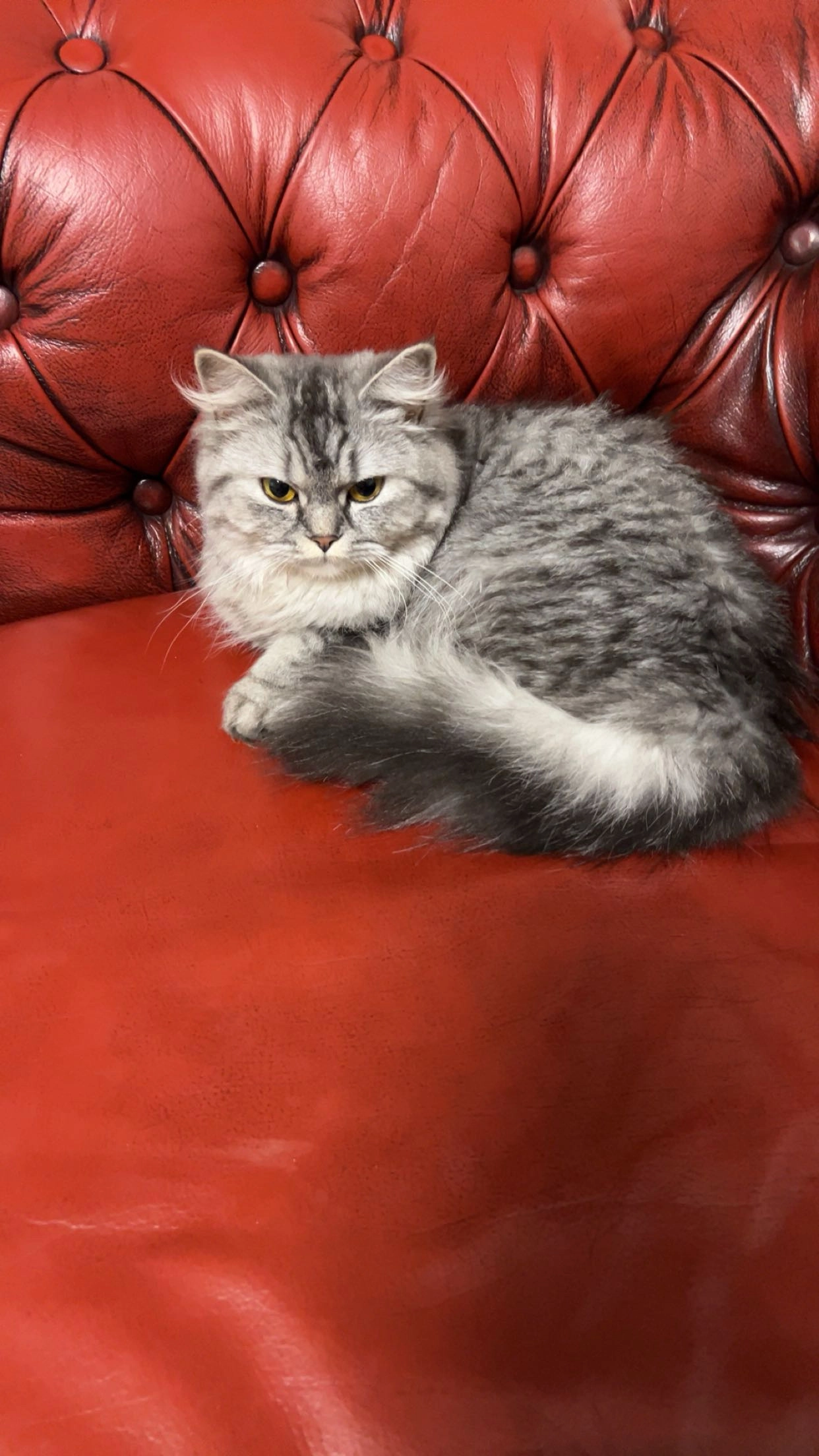 Nala - Pfingststraße, Peine