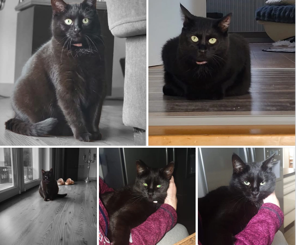 Murmel - Stockenbleekstraße, Hattorf am Harz