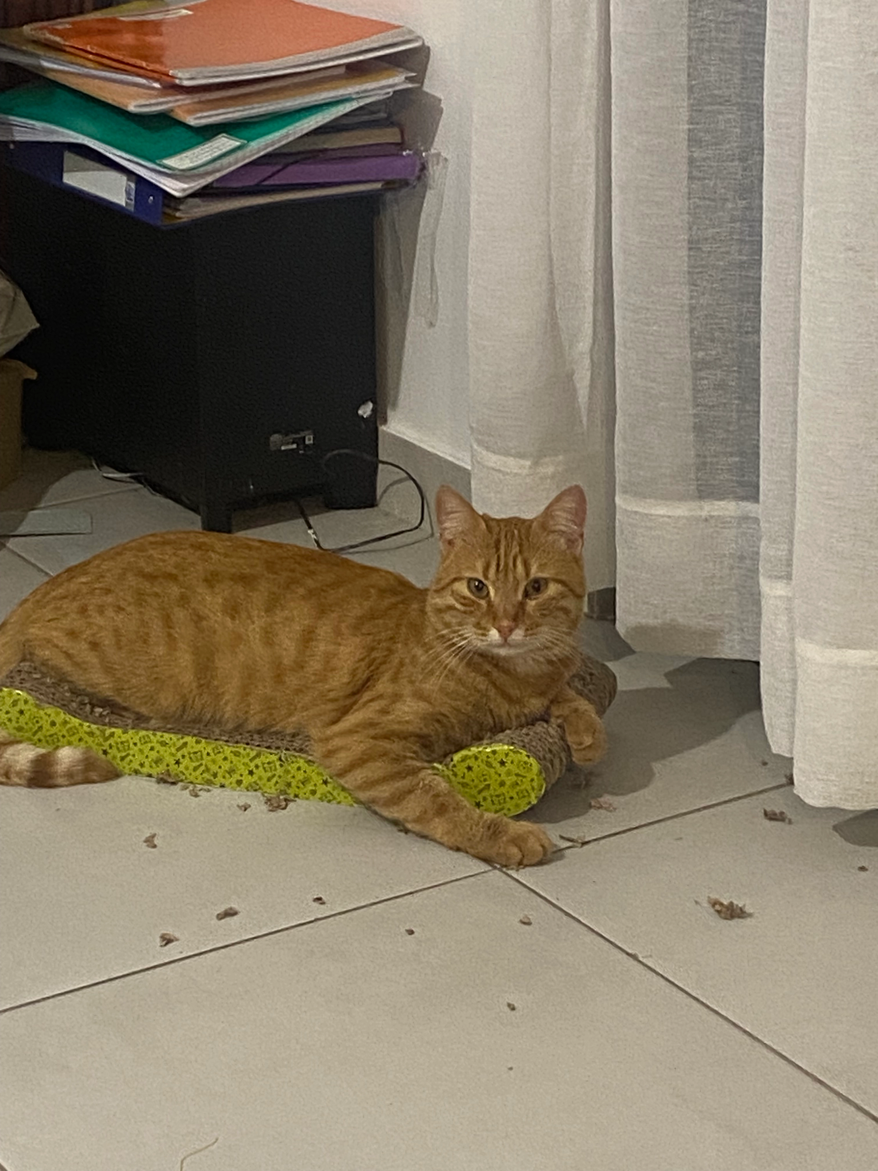 Baguerra  - 24 Avenue de la Gare, Saint-Mard