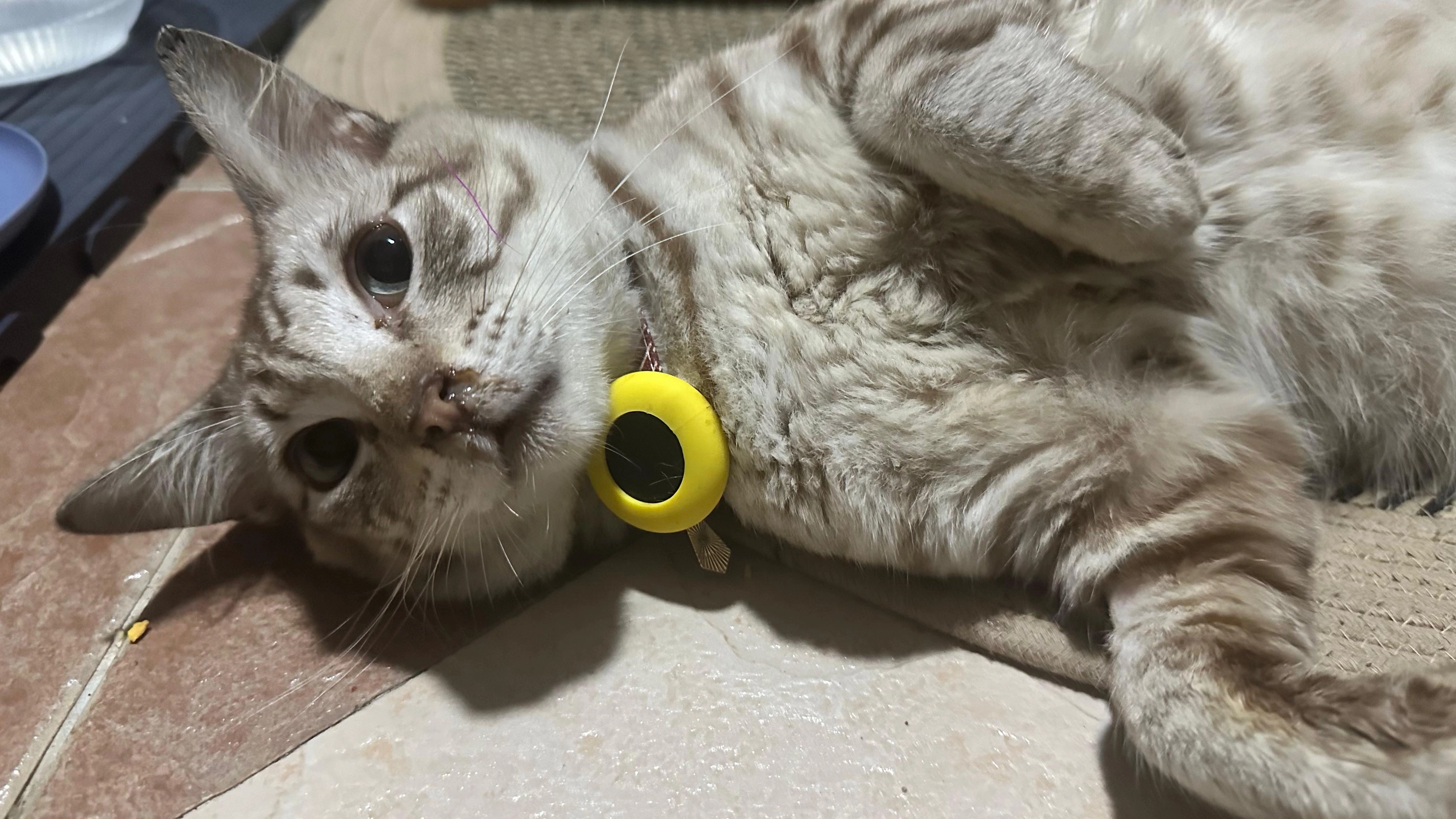 Olif - Jalan Indah 8/5, , Bukit Indah, Johor Bahru 81200, Malaysia