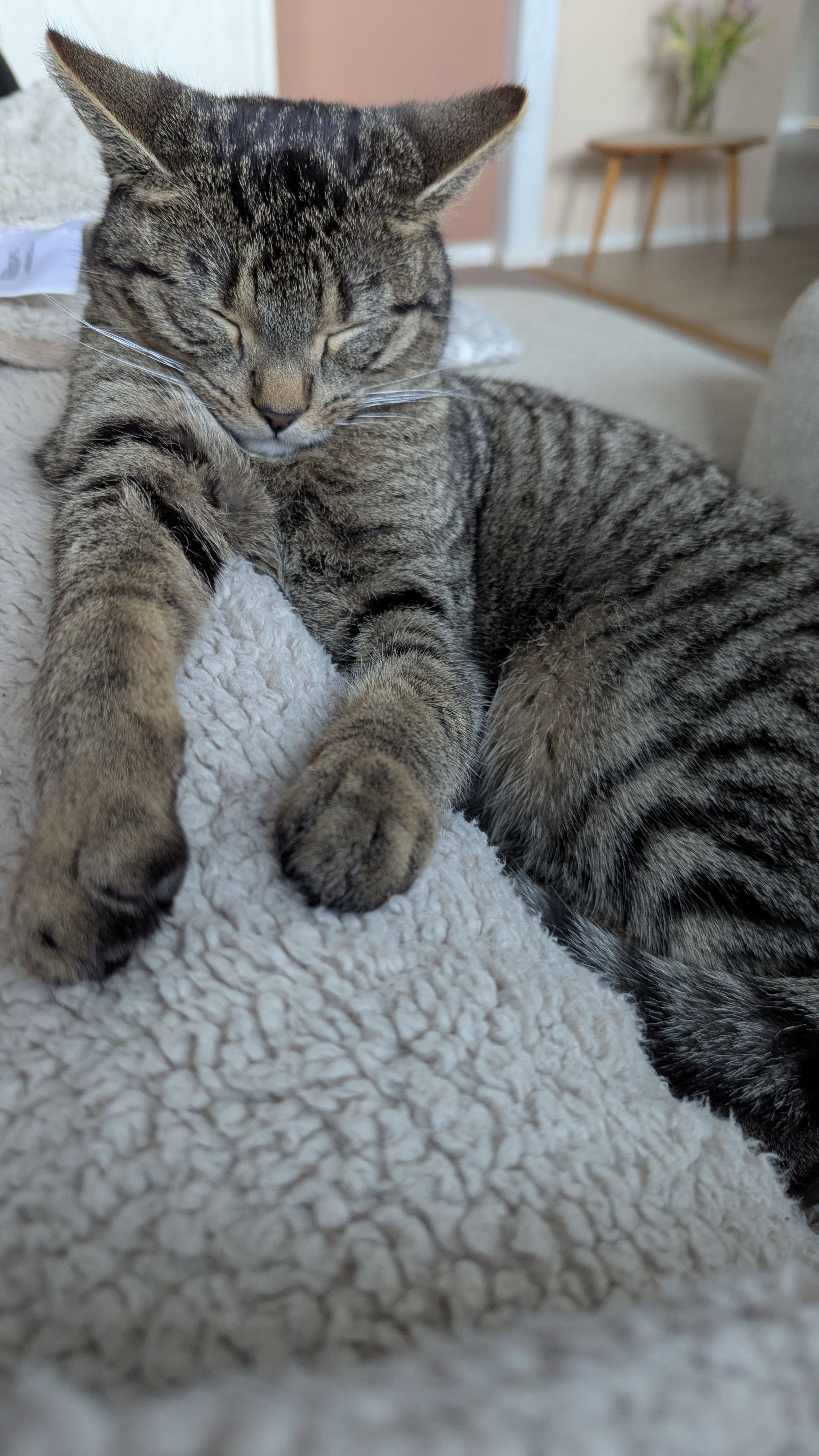 Olmo - Weinbergstraße, Bad Liebenwerda