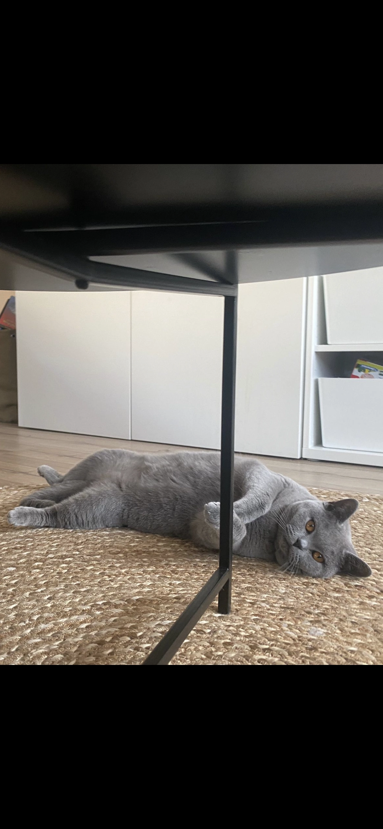 Lou-lou - Lange Zuiderweg, Voorthuizen