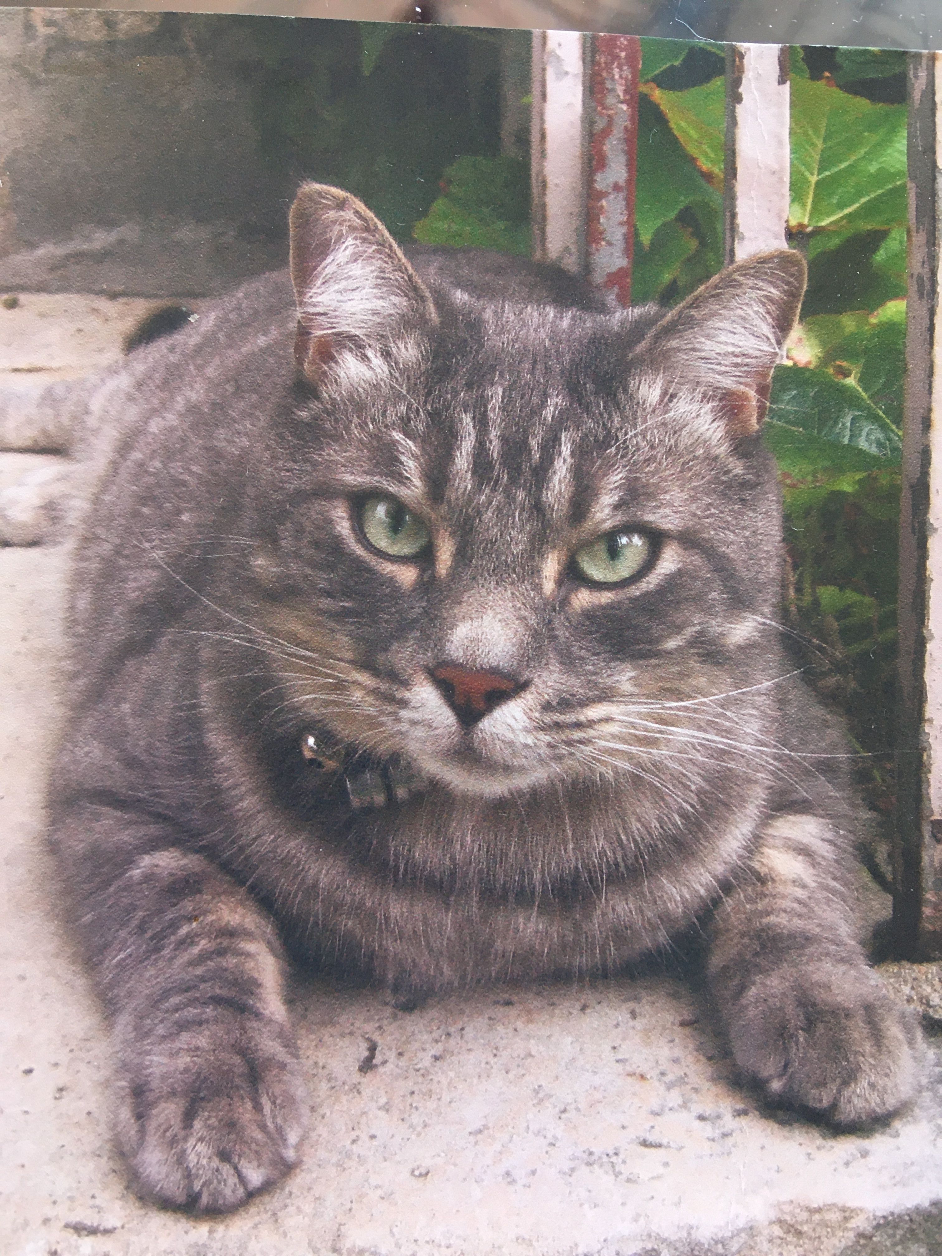 Icare - Impasse De La Bagatelle, Nevers