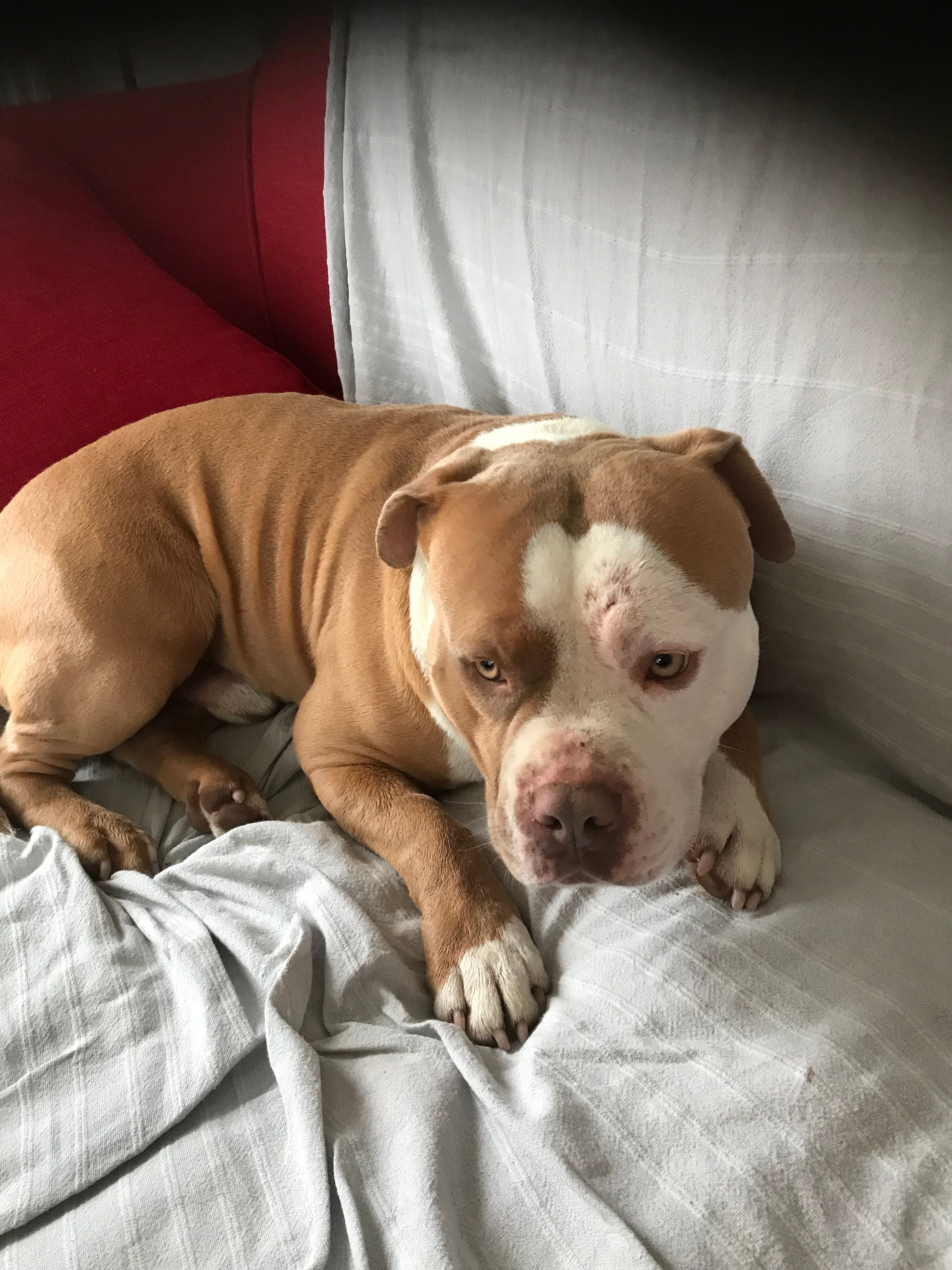 Ouat - Rue De La Caudalie, Saint-Laurent-des-Vignes