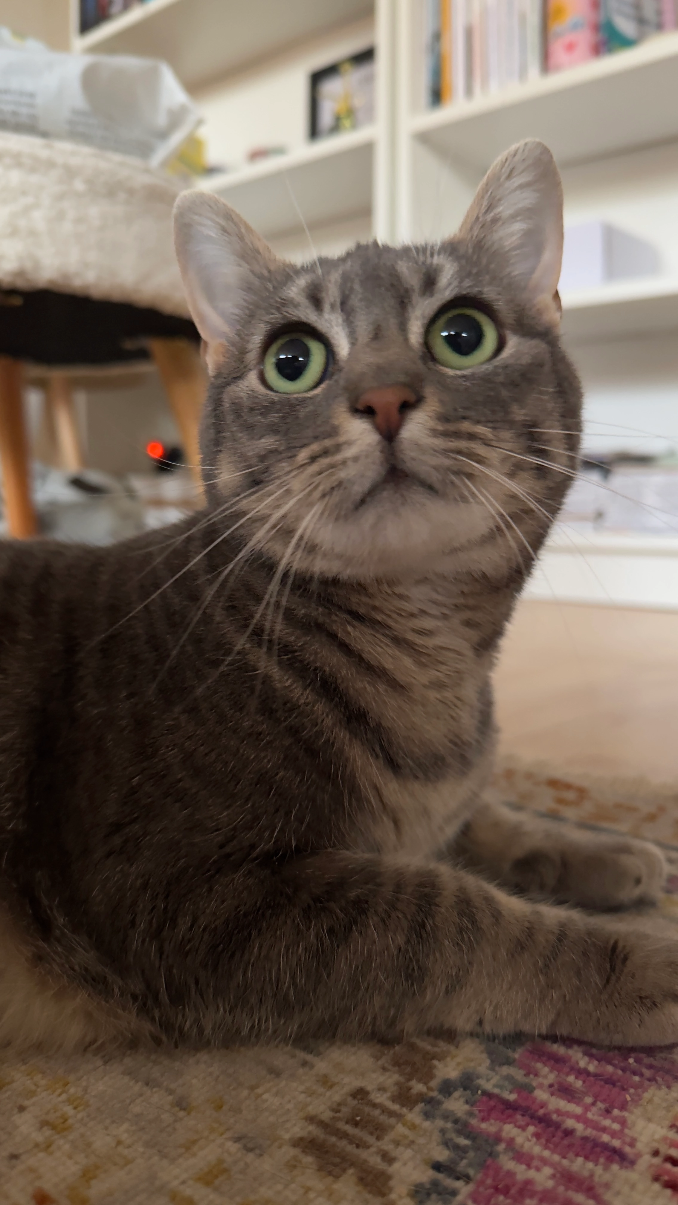 June - Place René Goblet, Amiens