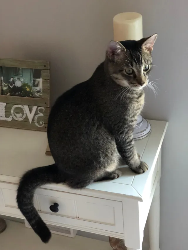 Bailey - Porter Street, Murfreesboro