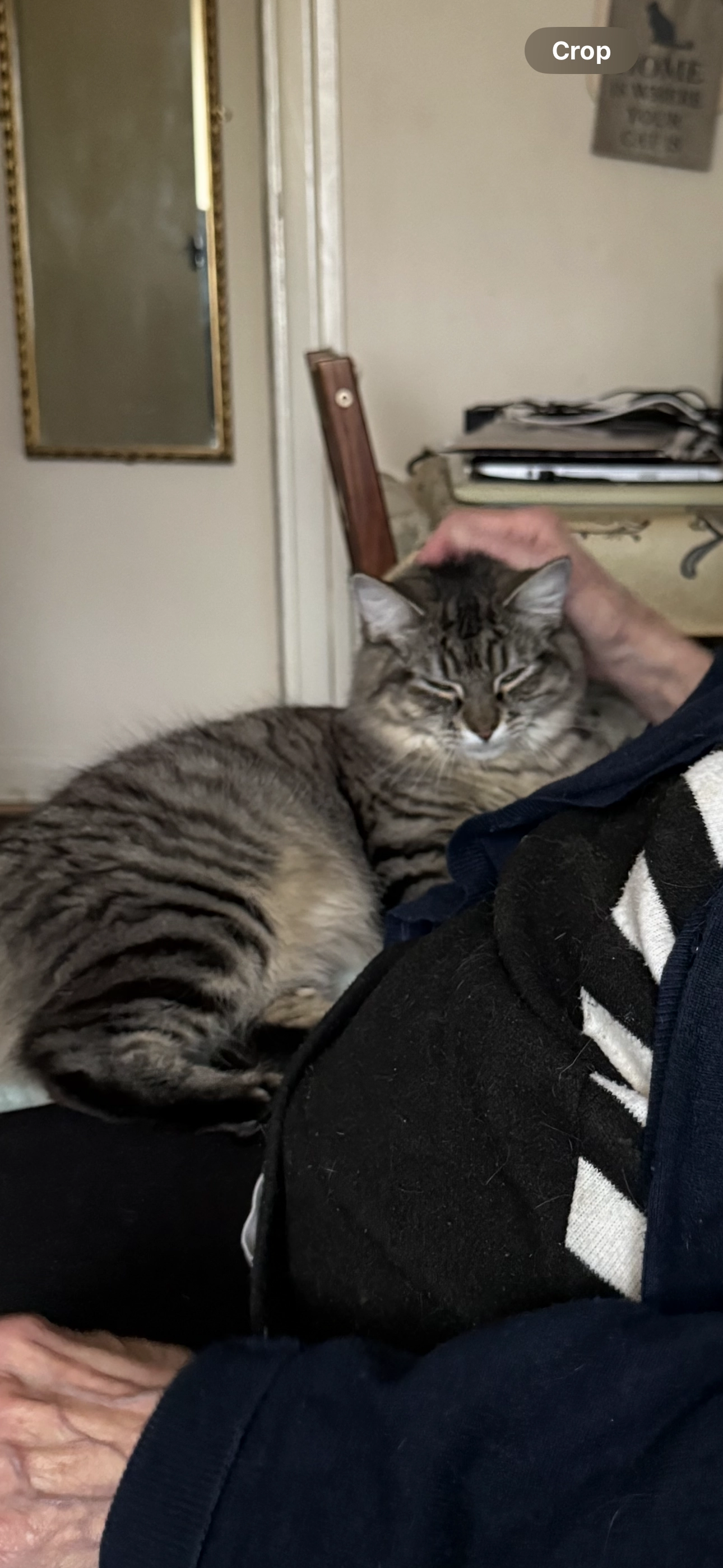 Mia - 6 Church Road, Truro