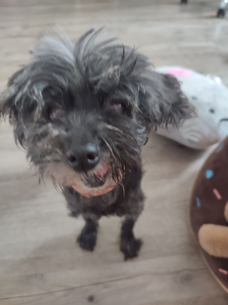 Gera - Äußere Sulzbacher Straße, Nürnberg