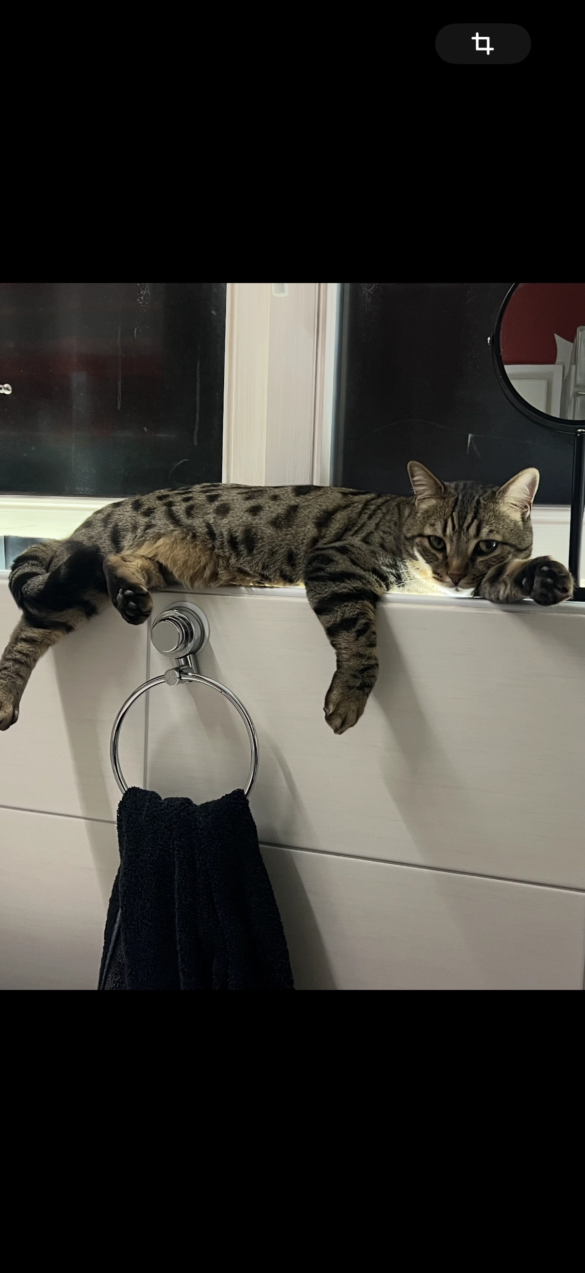 charlie - Am Weinberg, Moosthenning