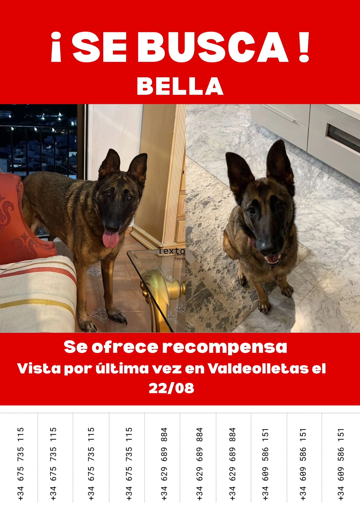 Bella  - Urbanización Valdeolletas, Marbella