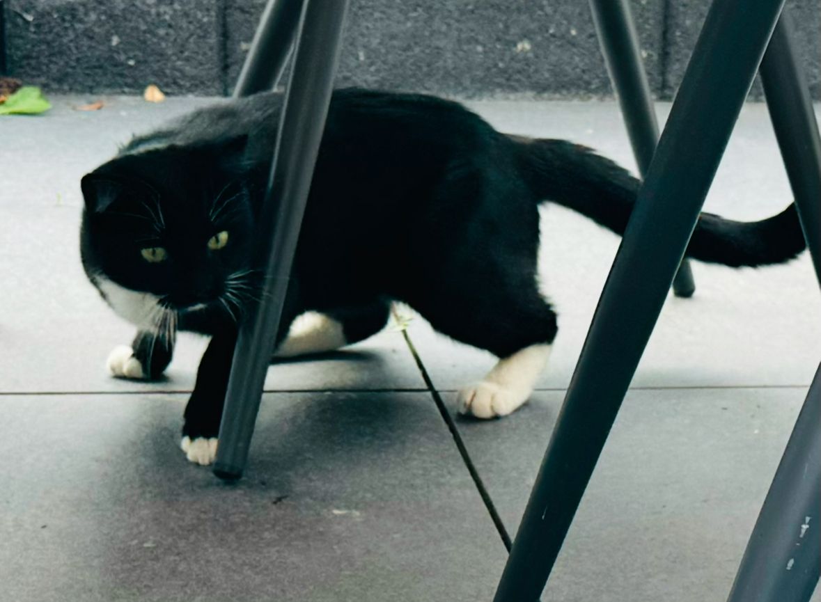 Scootio  - Zickra, Berga/Elster