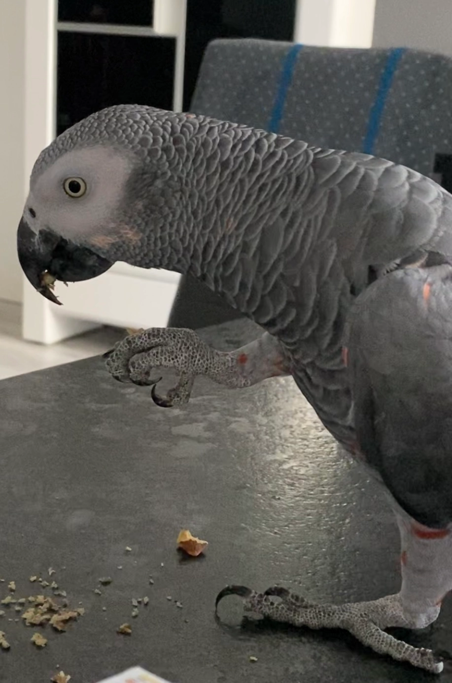 Coco - Calle San Antonio de Padua, Torrent